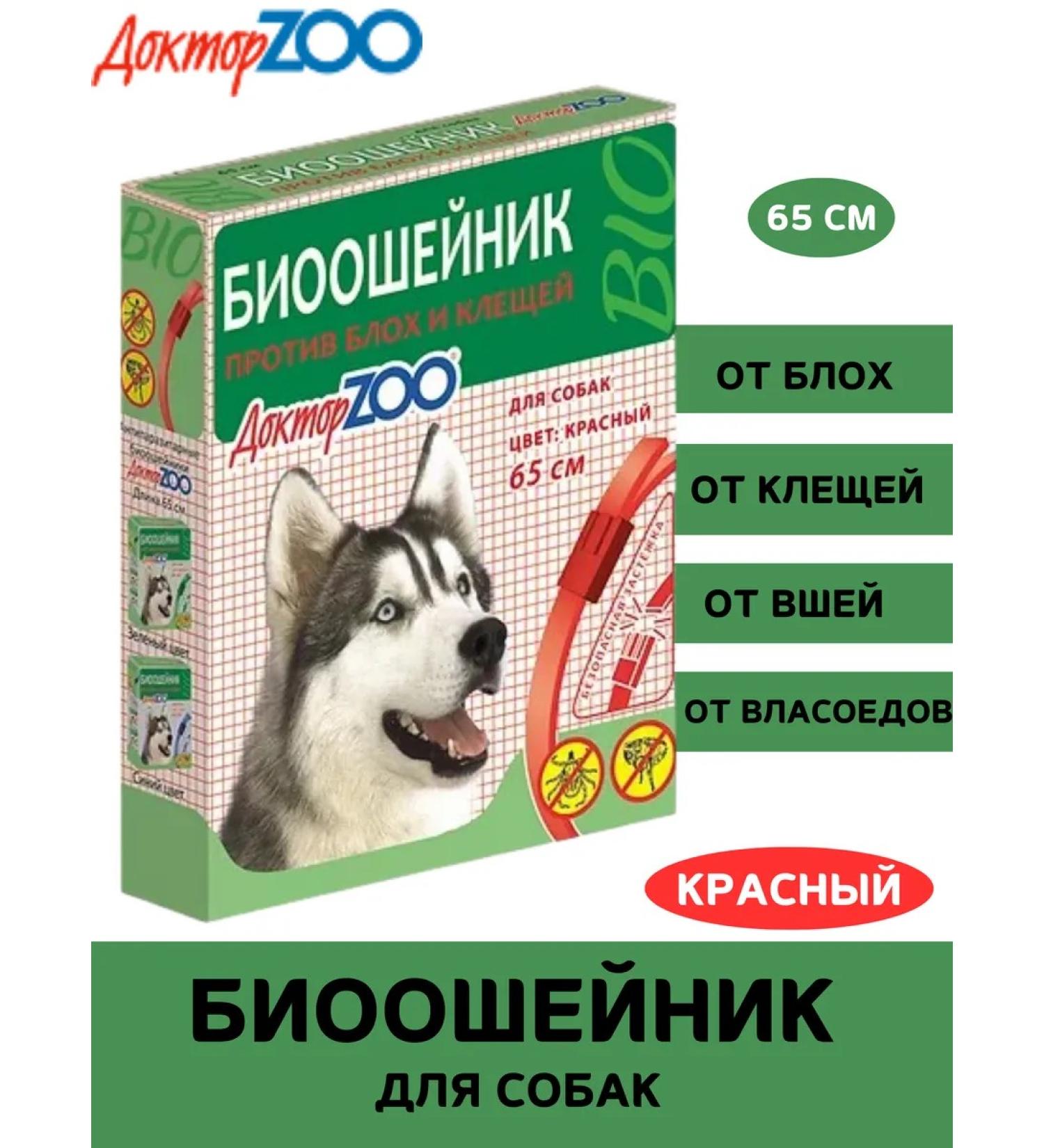 Doctor Zoo Bio -eager for dogs 65 cm red - Buy Online on GoSupps.com