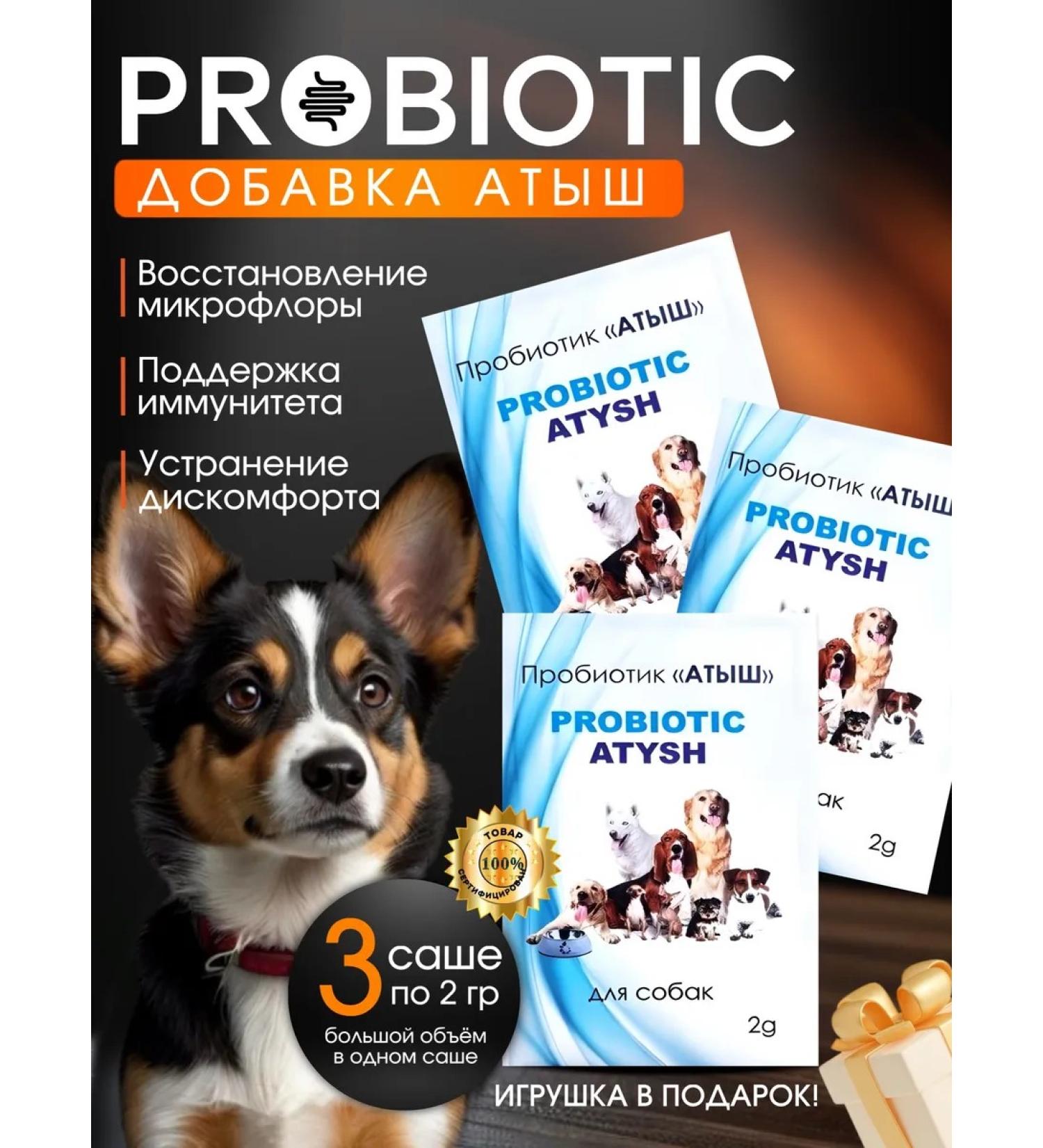 HealthyTail Probiotic for dogs ATYSH 3 pcs 2 g - Buy Online on GoSupps.com