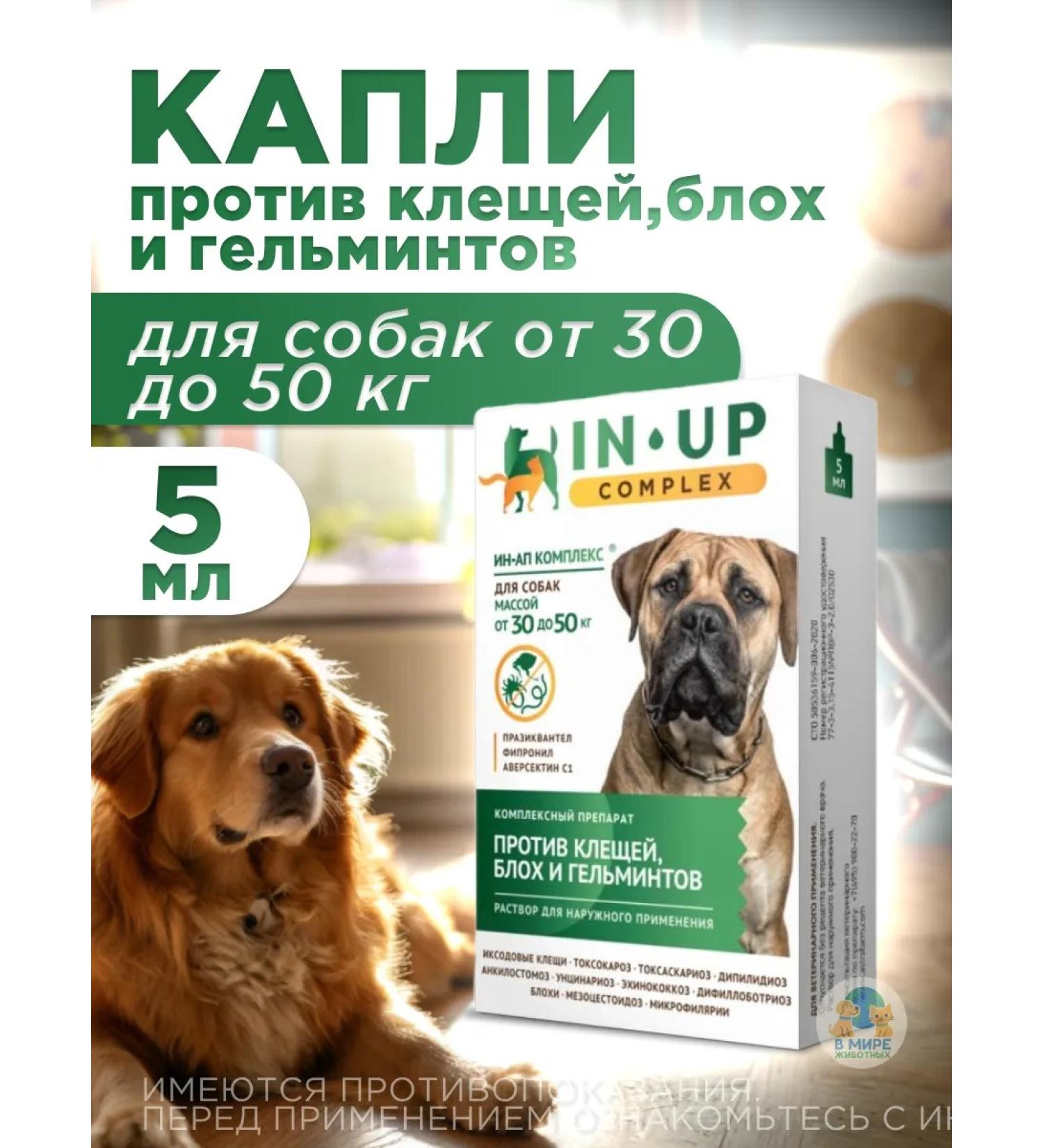 ASTRAPHARM Complex Drops for Dogs from 30 to 50 kg In-Up Comples - Buy Online on GoSupps.com