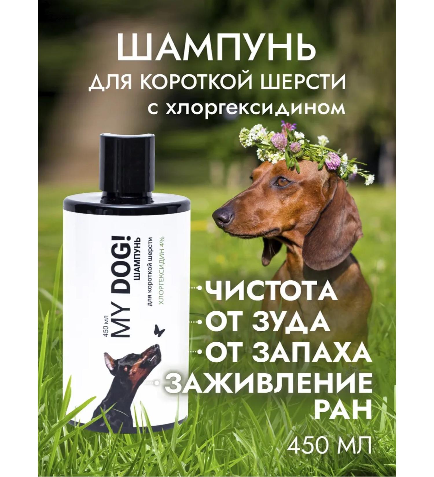 My DOG shampoo for dogs and cats with short wool - Buy Online on GoSupps.com