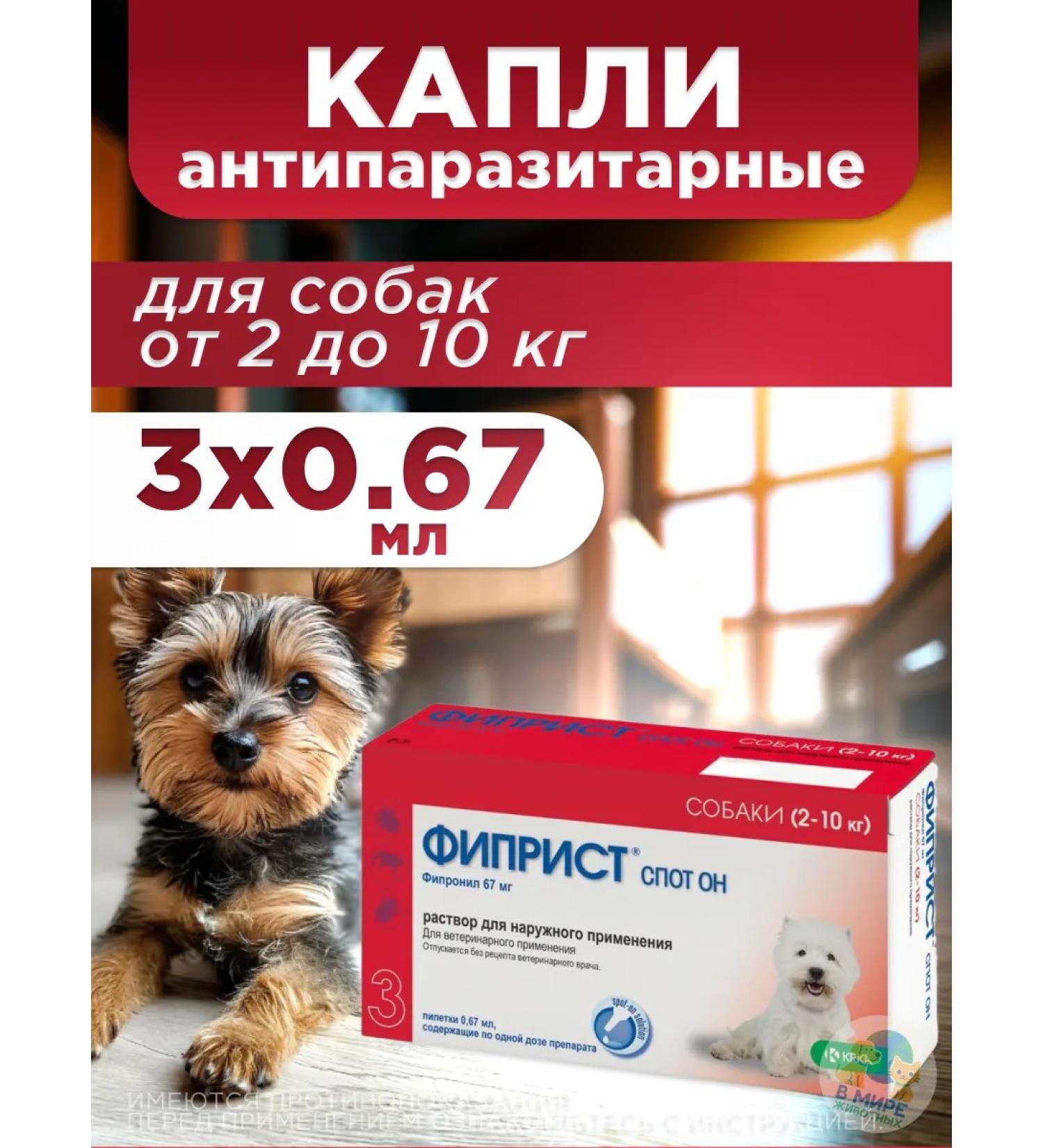 KRKA Fiprist Spot He is 2-10 kg for dogs 3 peep - Buy Online on GoSupps.com