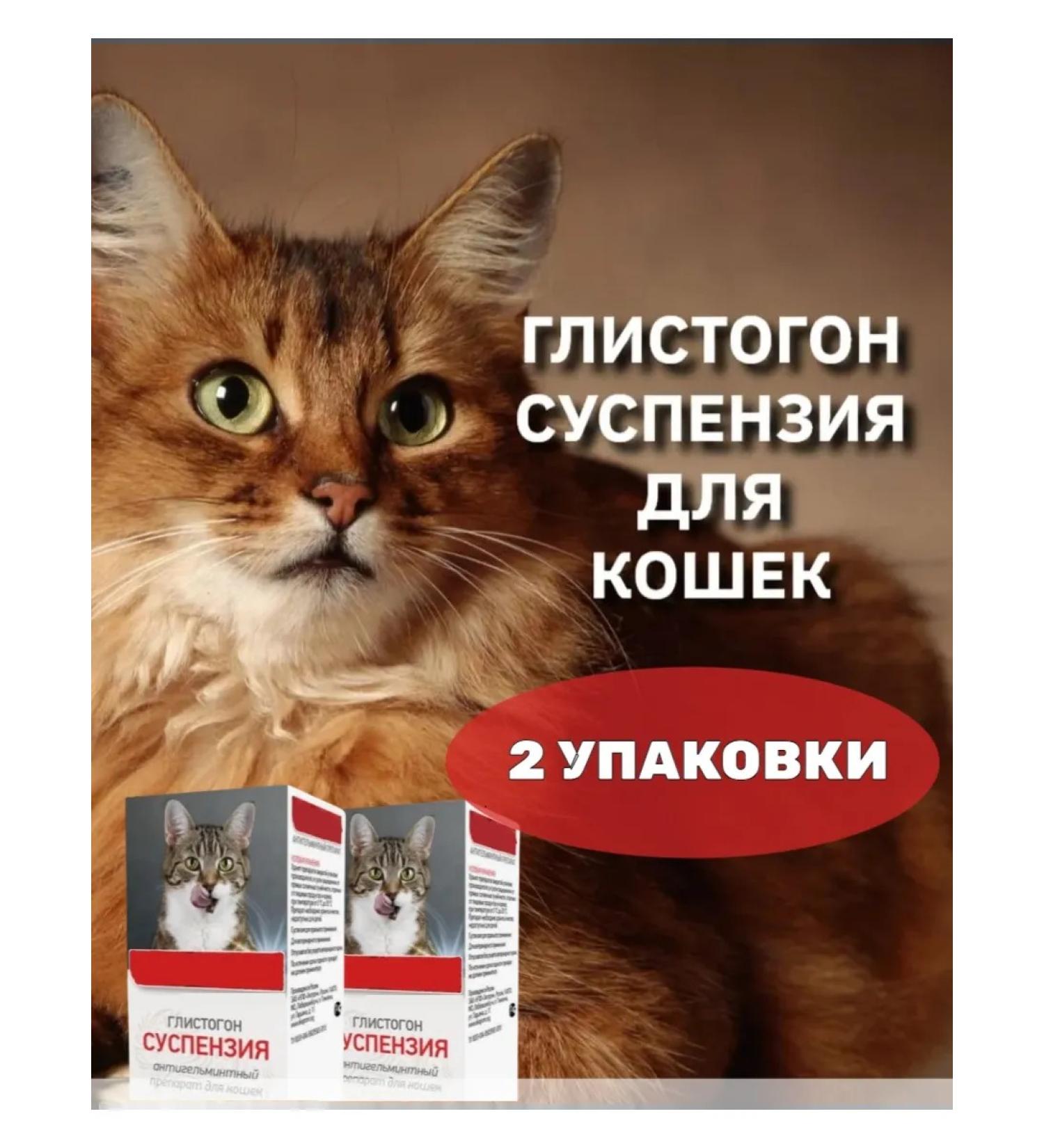 ZooLAPUS Glueboard for cats suspension 2 pcs - Buy Online on GoSupps.com