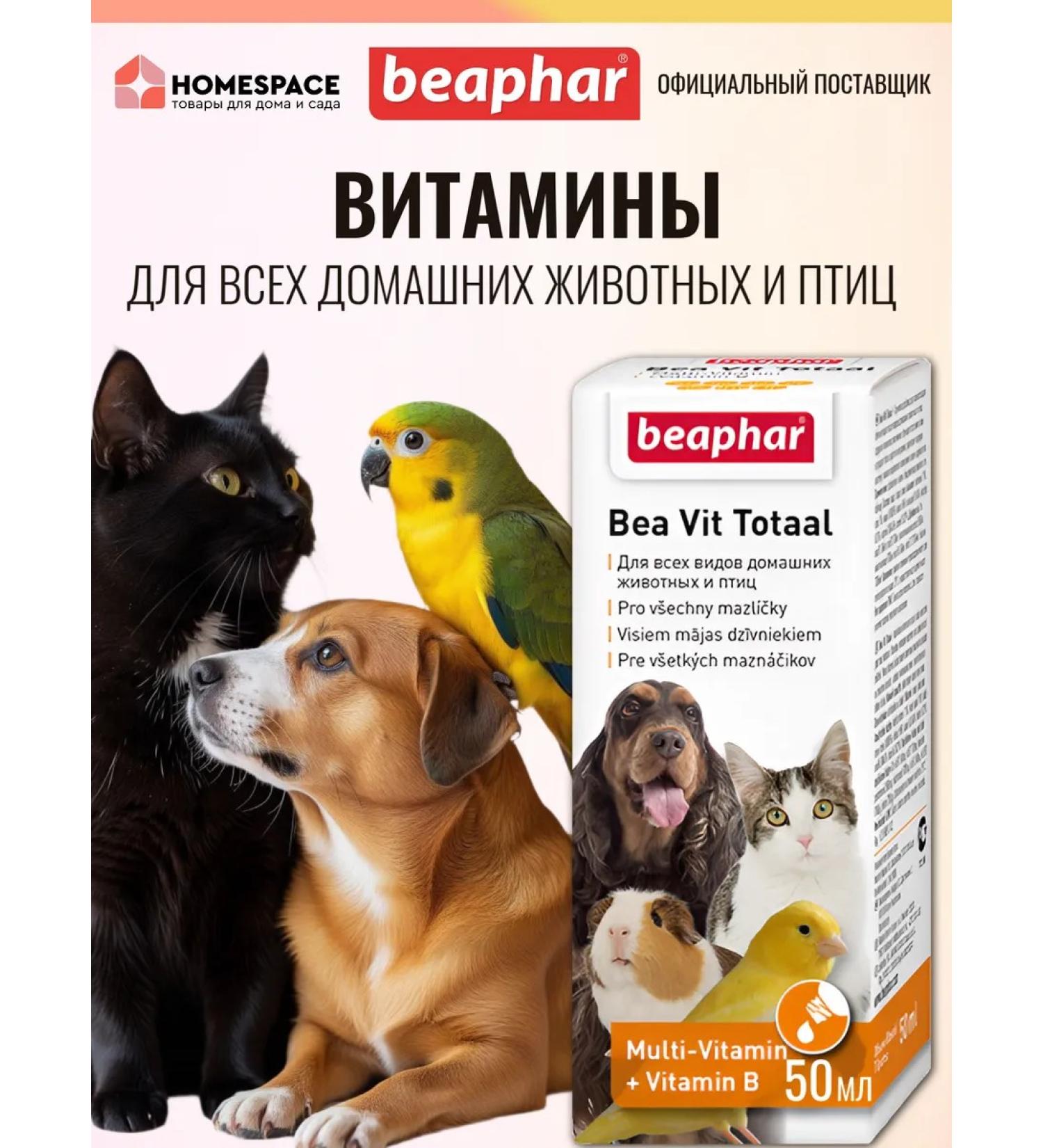 beaphar Vitamins for cats and dogs fodder additive with molting 50ml - Buy Online on GoSupps.com