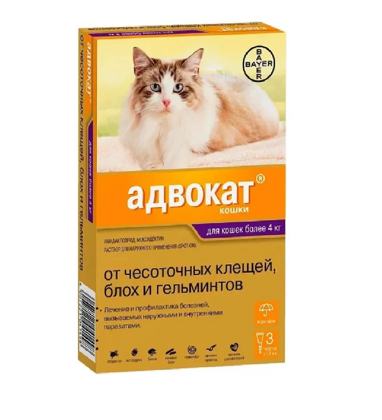 Bayer Lawyer Antiparasitic drug for cats 4-8kg 3P*0.8ml - Buy Online on GoSupps.com