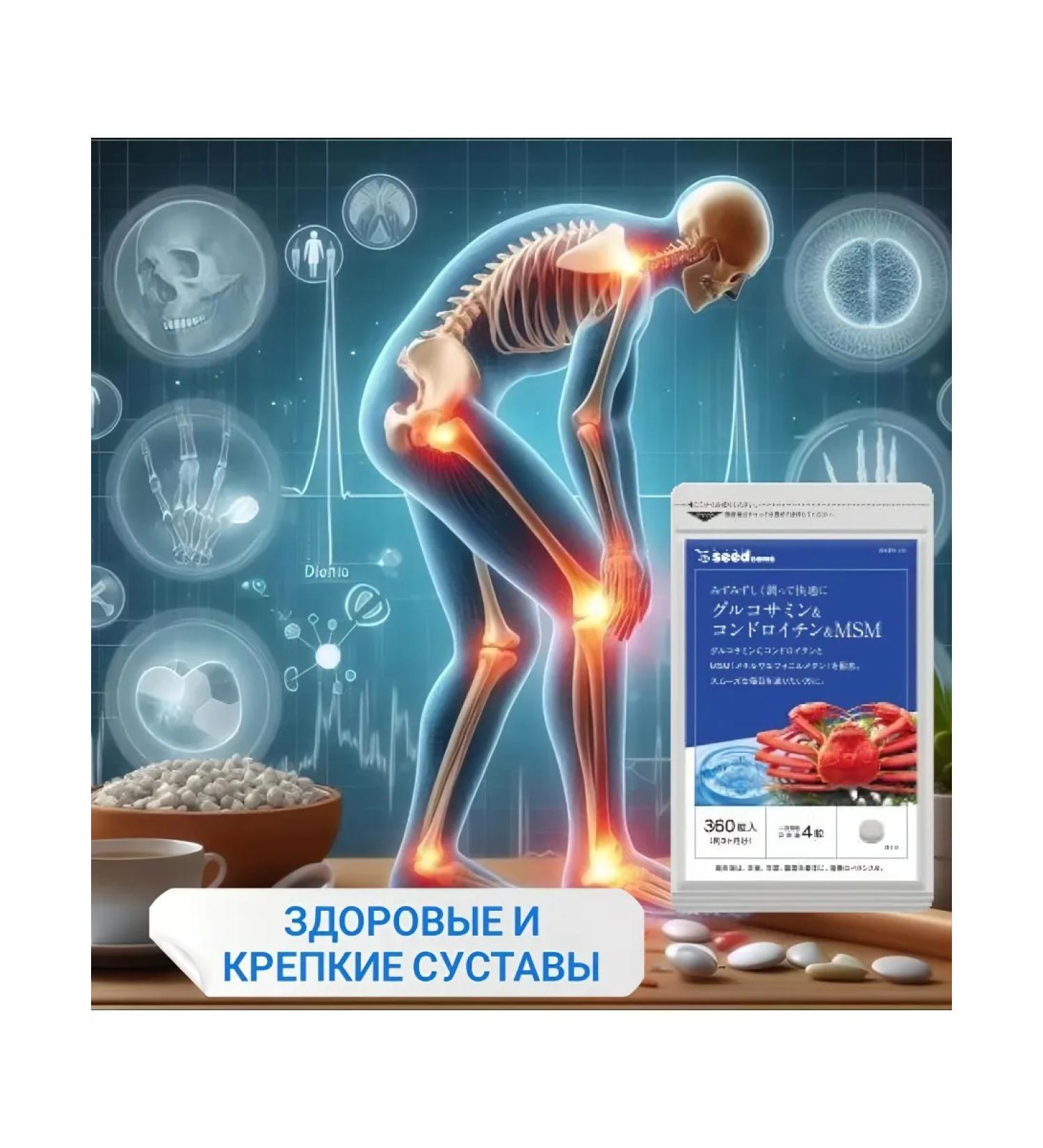 Seedcoms Glucosamine chondroitin MSM for joint restoration - Buy Online on GoSupps.com