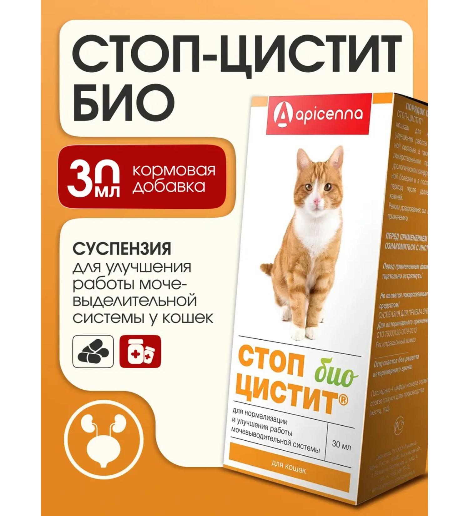 Apicenna Stop cystitis of bio for cats for the urinary system 30ml - Buy Online on GoSupps.com