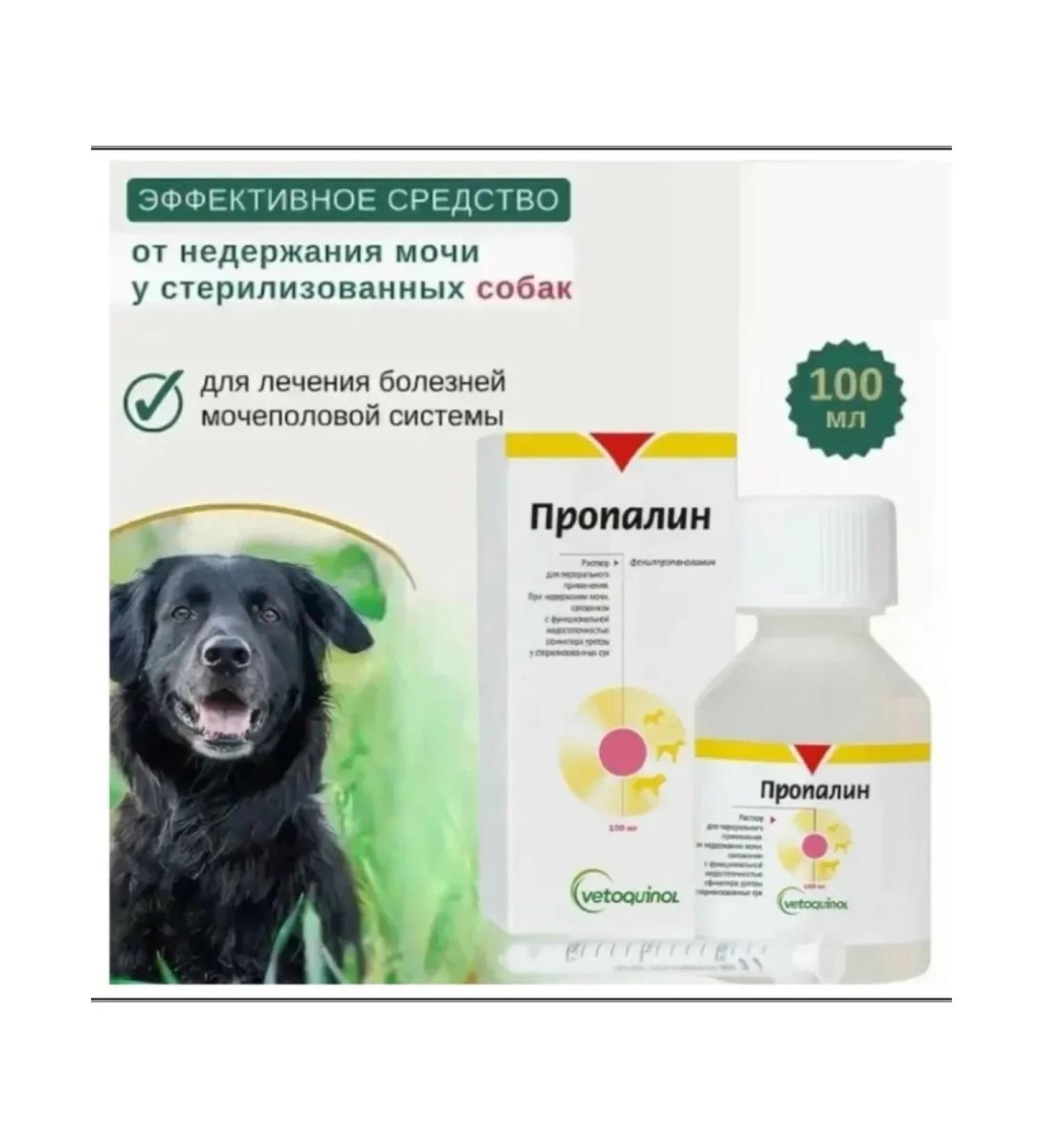 Rustalin for dogs treatment of the genitourinary system 100ml