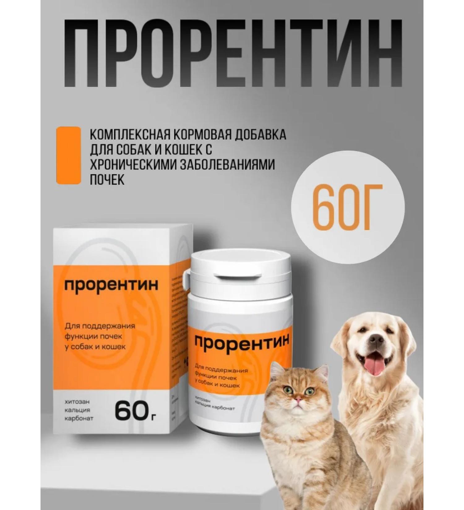 Prostin for cats and dogs to maintain kidneys 60 g - Buy Online on GoSupps.com