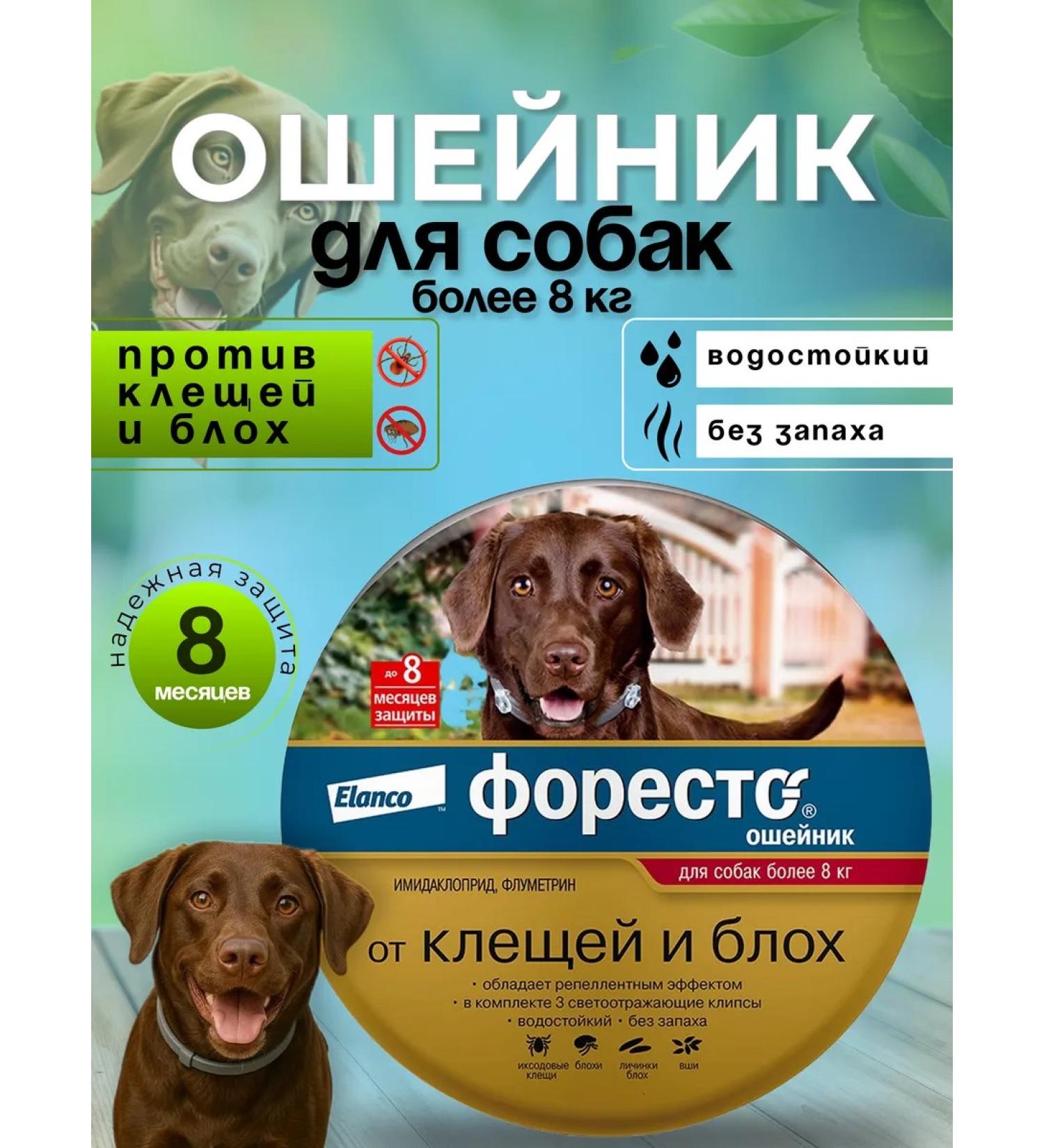 Elanco Forest collar from fleas and ticks for dogs more than 8 kg - Buy Online on GoSupps.com