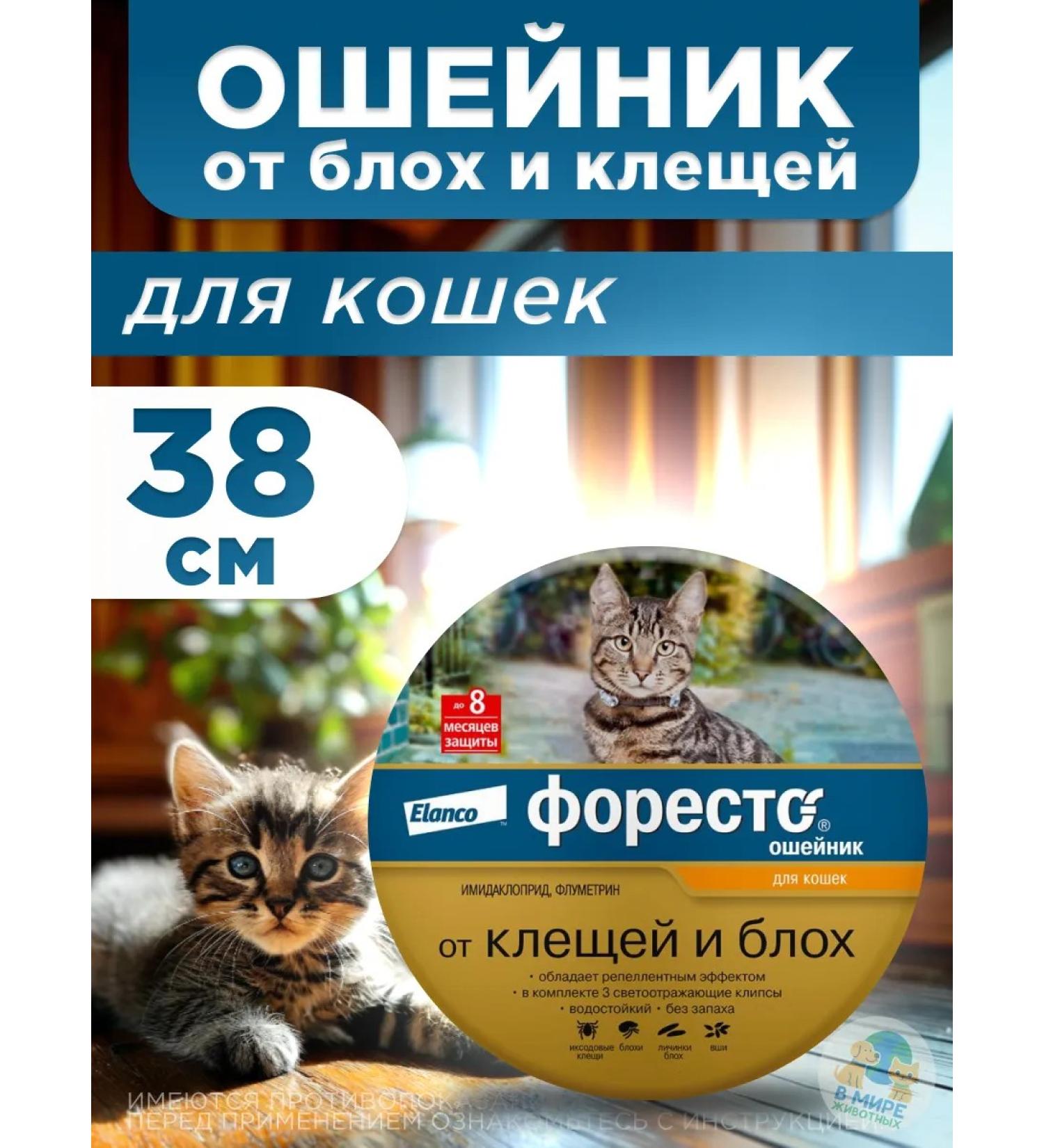 Elanco Foresto collar for cats - Buy Online on GoSupps.com