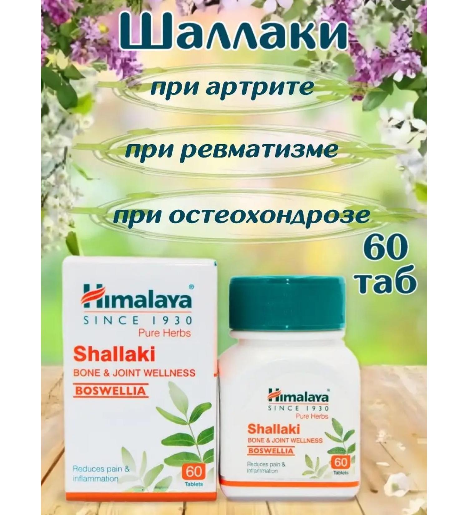 India Bady Shallaki health of the musculoskeletal system 60 tab - Buy Online on GoSupps.com