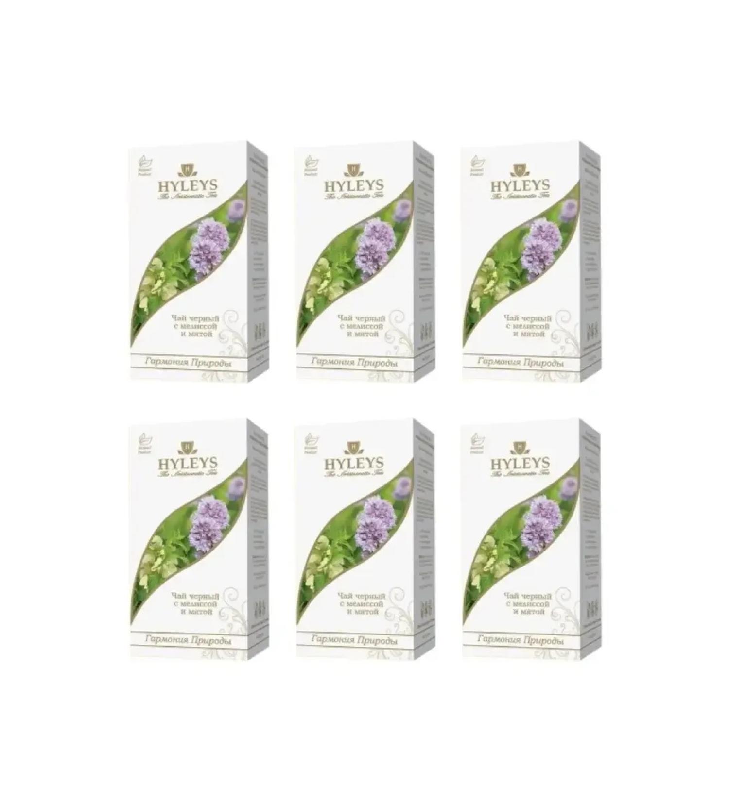 HYLEYS Black tea with lemon balm and mint 25 packages 6 pcs