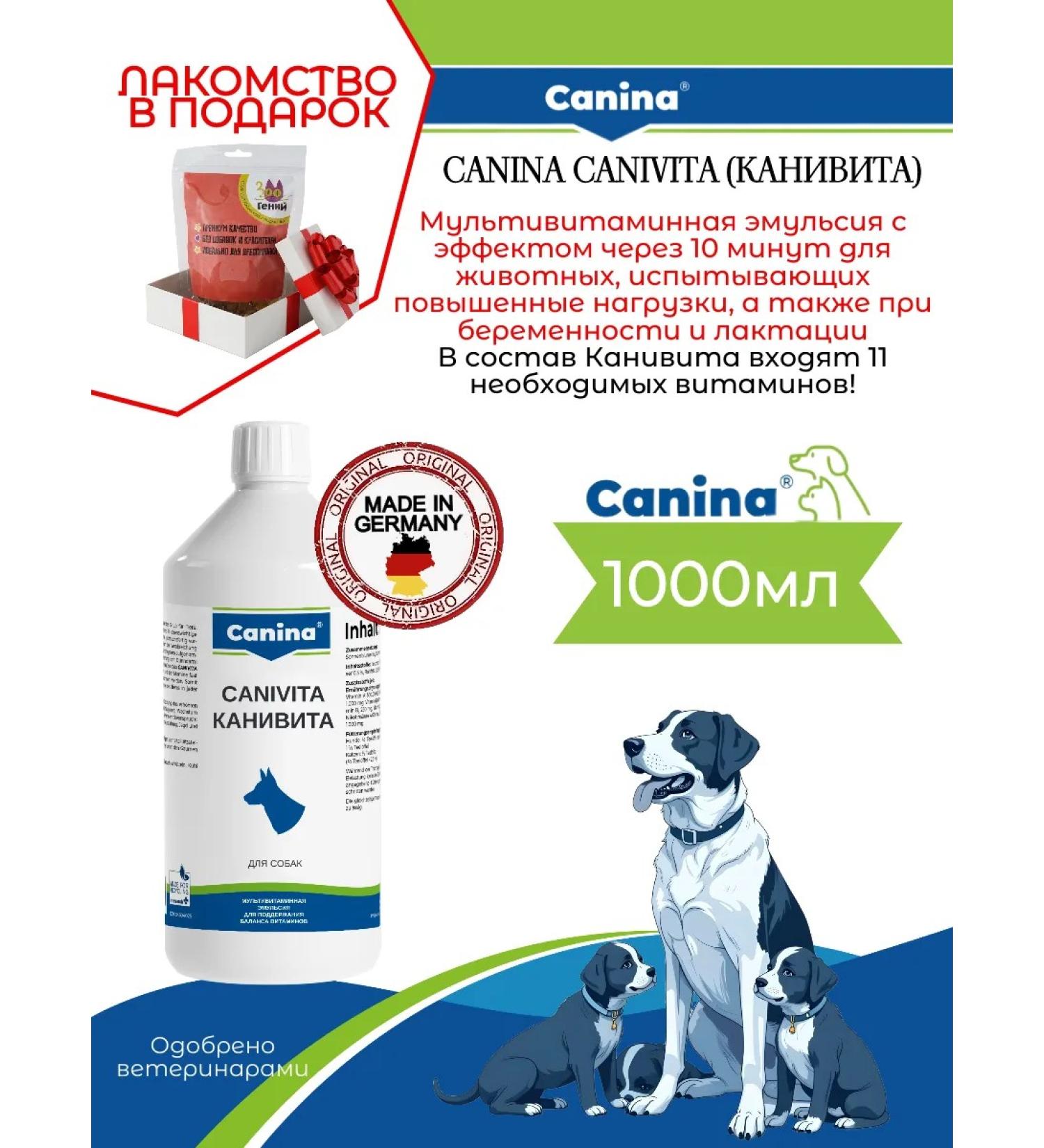Canina pharma GmbH Vitamins for dogs during pregnancy stress Canivita 1000ml - Buy Online on GoSupps.com
