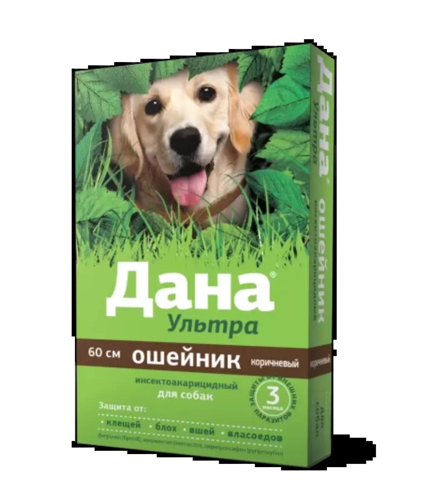 Apicenna Dog collar is given ultra 60 cm brown