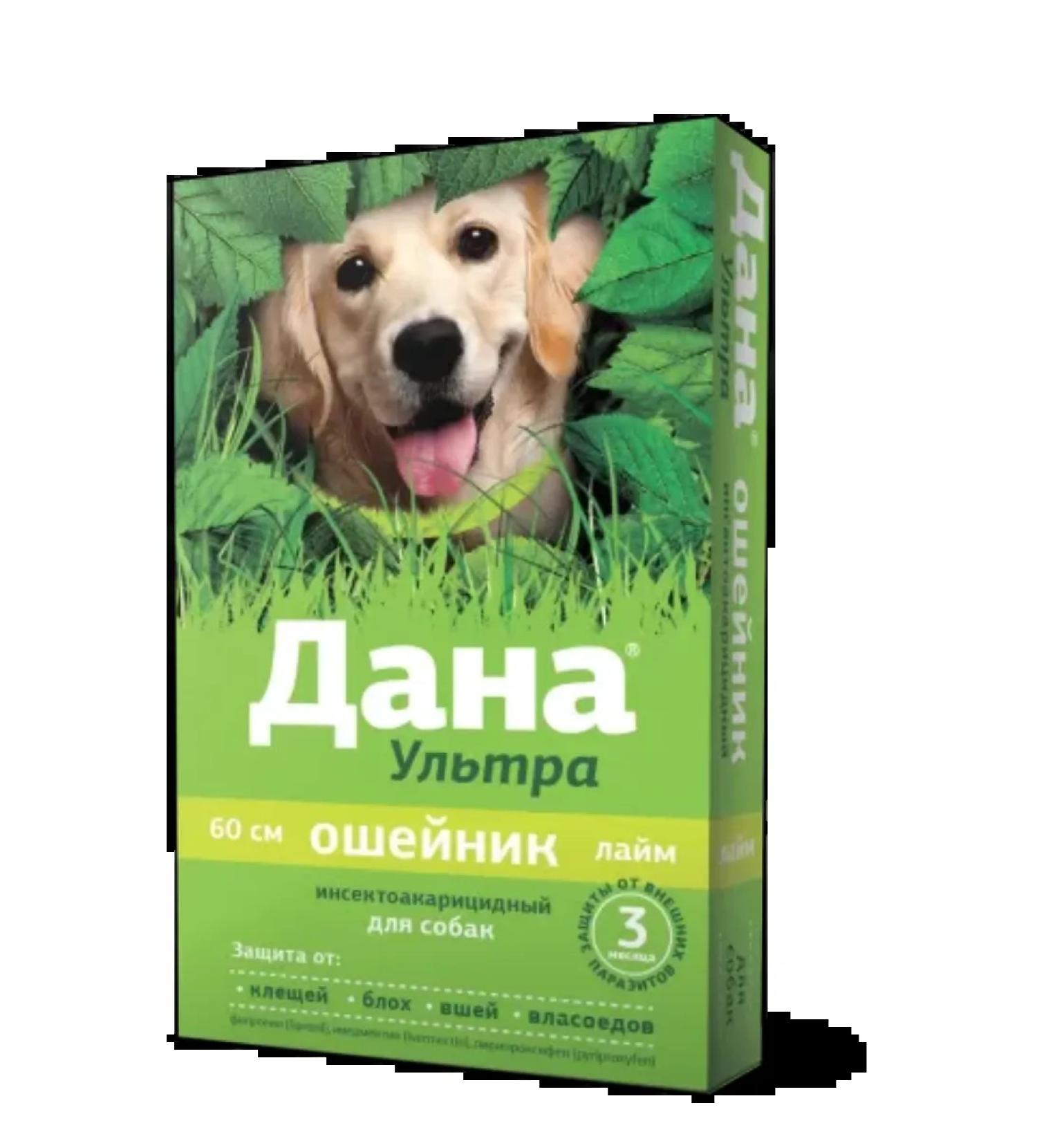 Apicenna Dog collar is given ultra 60 cm lime