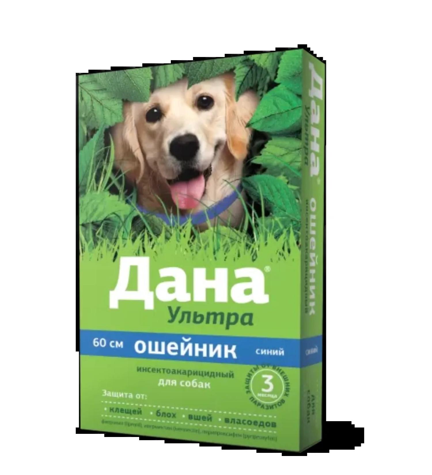 Apicenna Dog collar is given ultra 60 cm blue