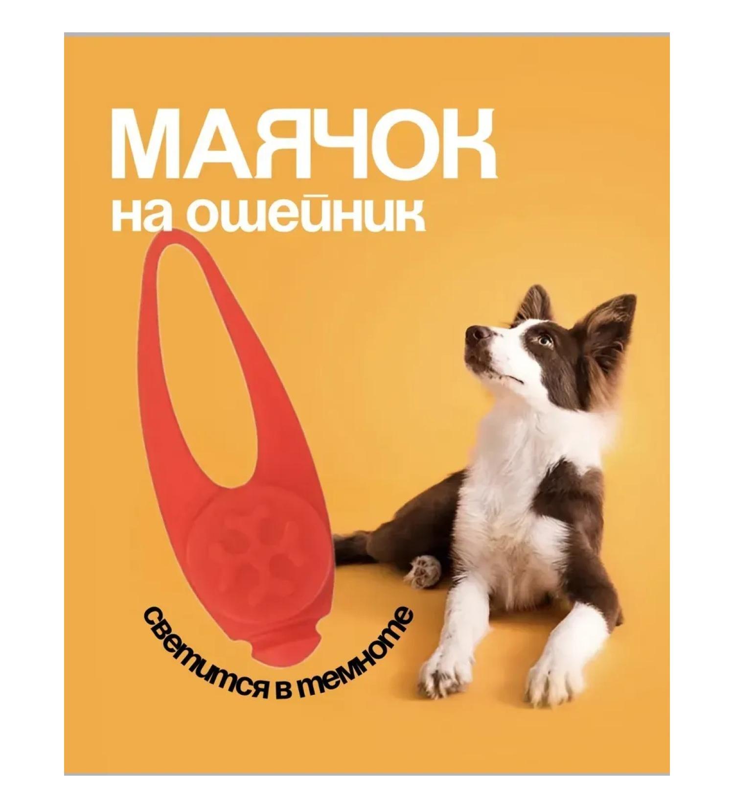 Lumining keychain on a collar for dogs and a Cat Lighthouse 2pcs - Buy Online on GoSupps.com