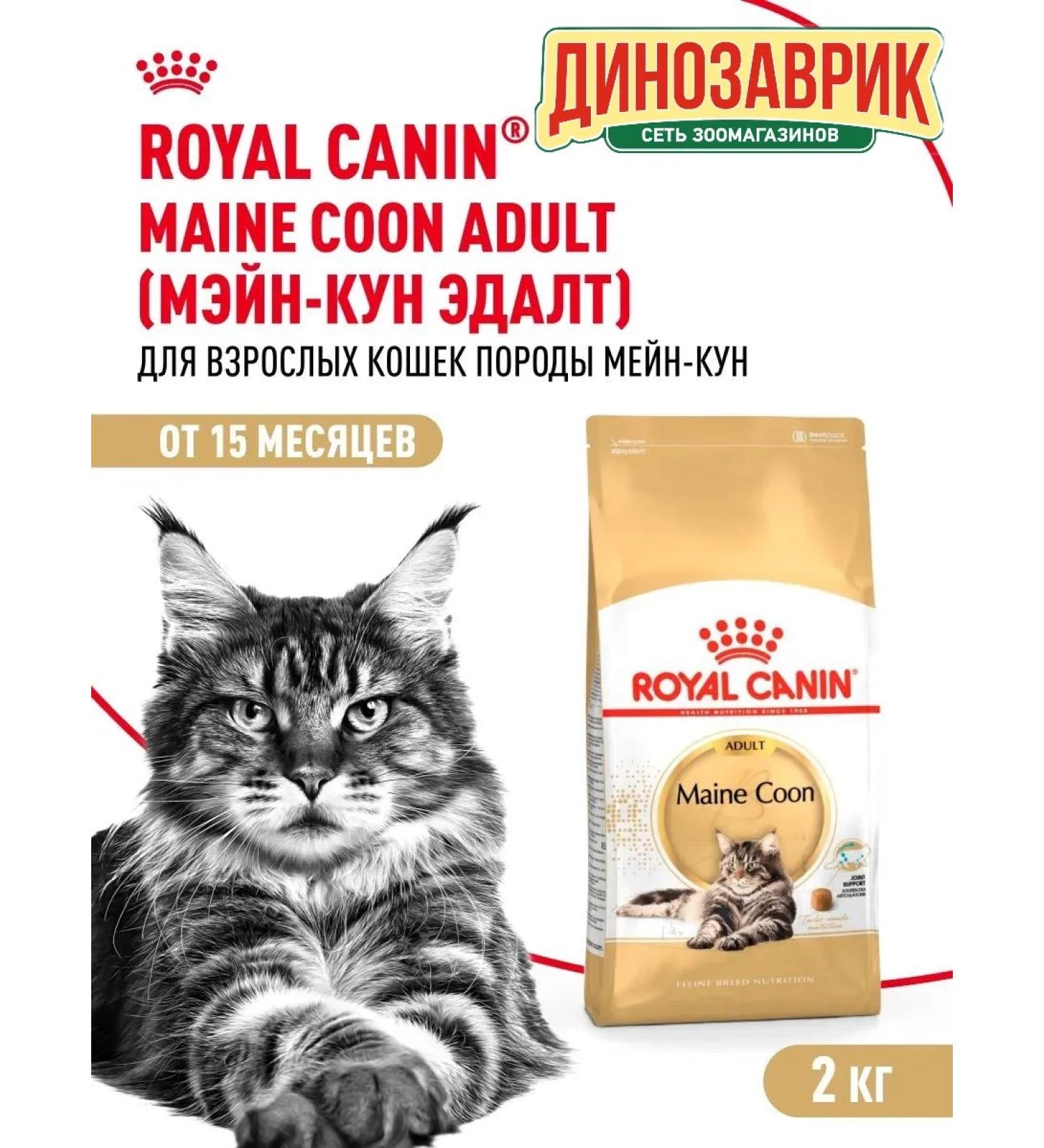 ROYAL CANIN Dry food Maine Coon for cats Maine Kun 2 kg - Buy Online on GoSupps.com