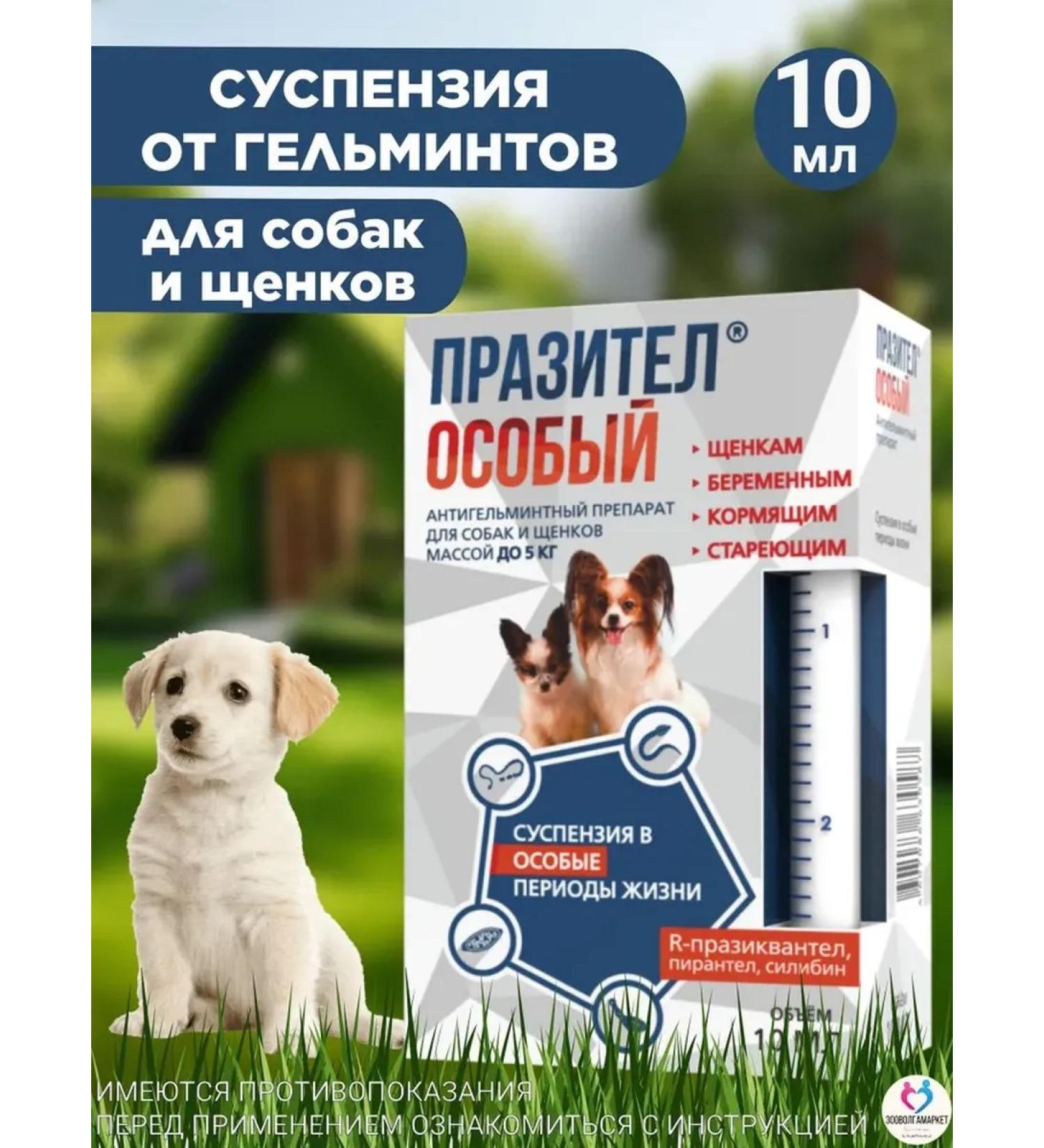 ASTRAPHARM Prasitar Suspension from worms for dogs and puppies  - Buy Online on GoSupps.com