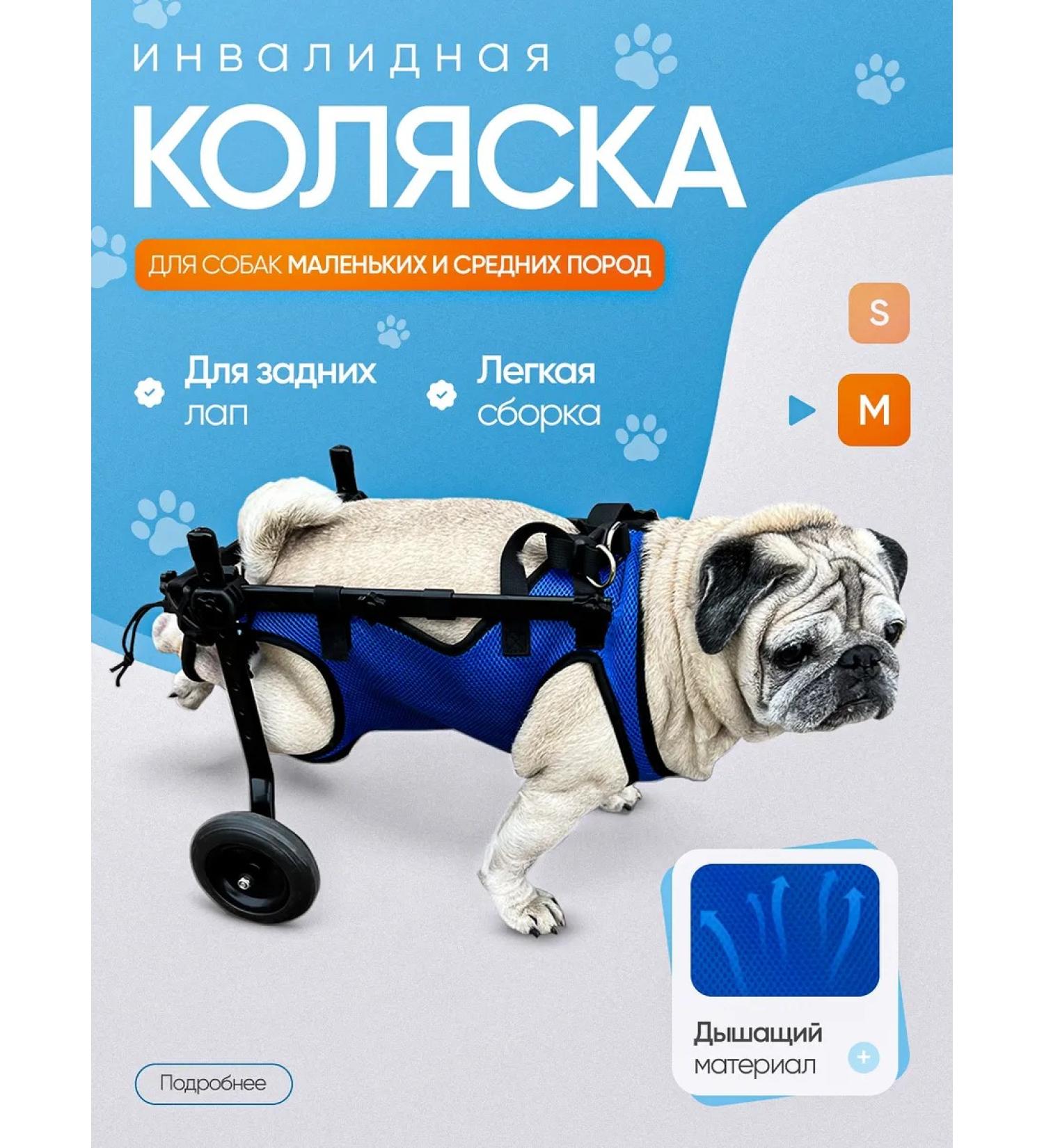 Wheelchair for dogs on the hind legs - Buy Online on GoSupps.com