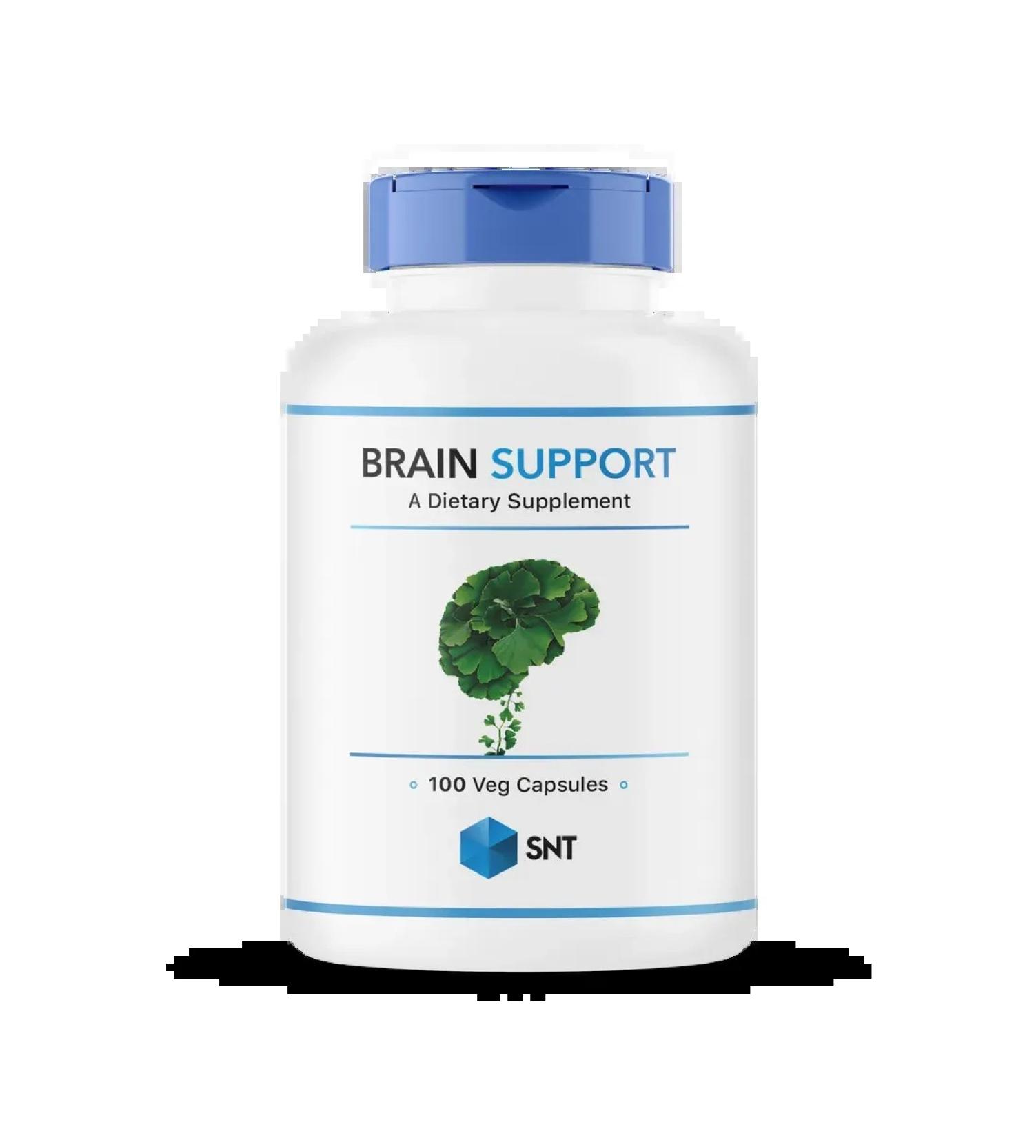 SNT Ginkgo biloba for the brain memory 100 kap - Buy Online on GoSupps.com