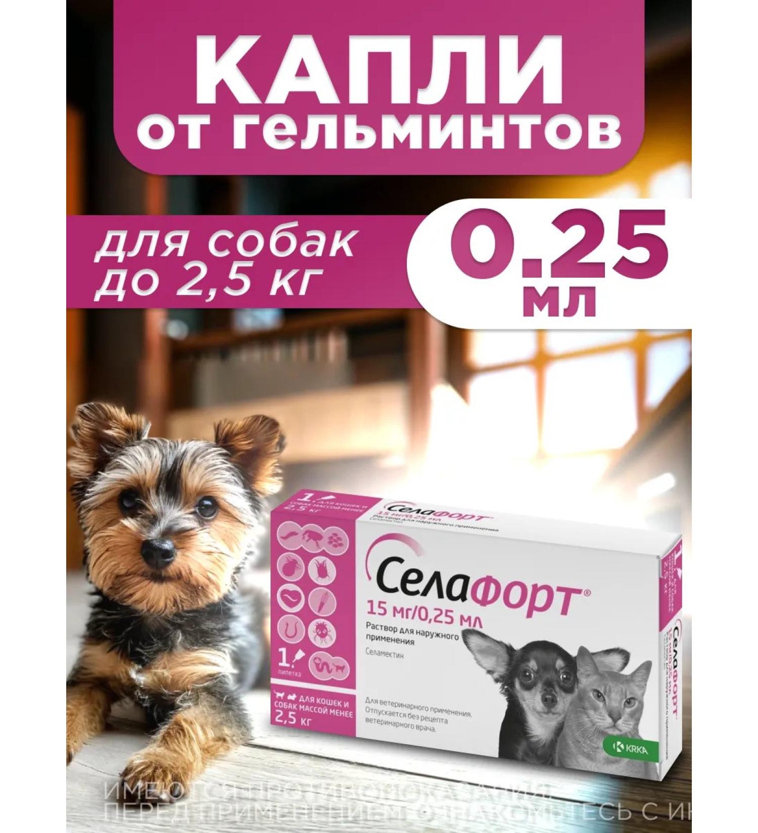 KRKA Sealess for dogs weighing less than 2.5 kg - Buy Online on GoSupps.com