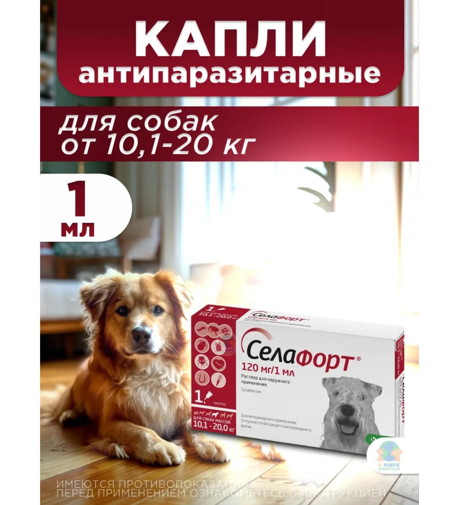 KRKA Sealess for dogs weighing 10.1 to 20 kg - Buy Online on GoSupps.com