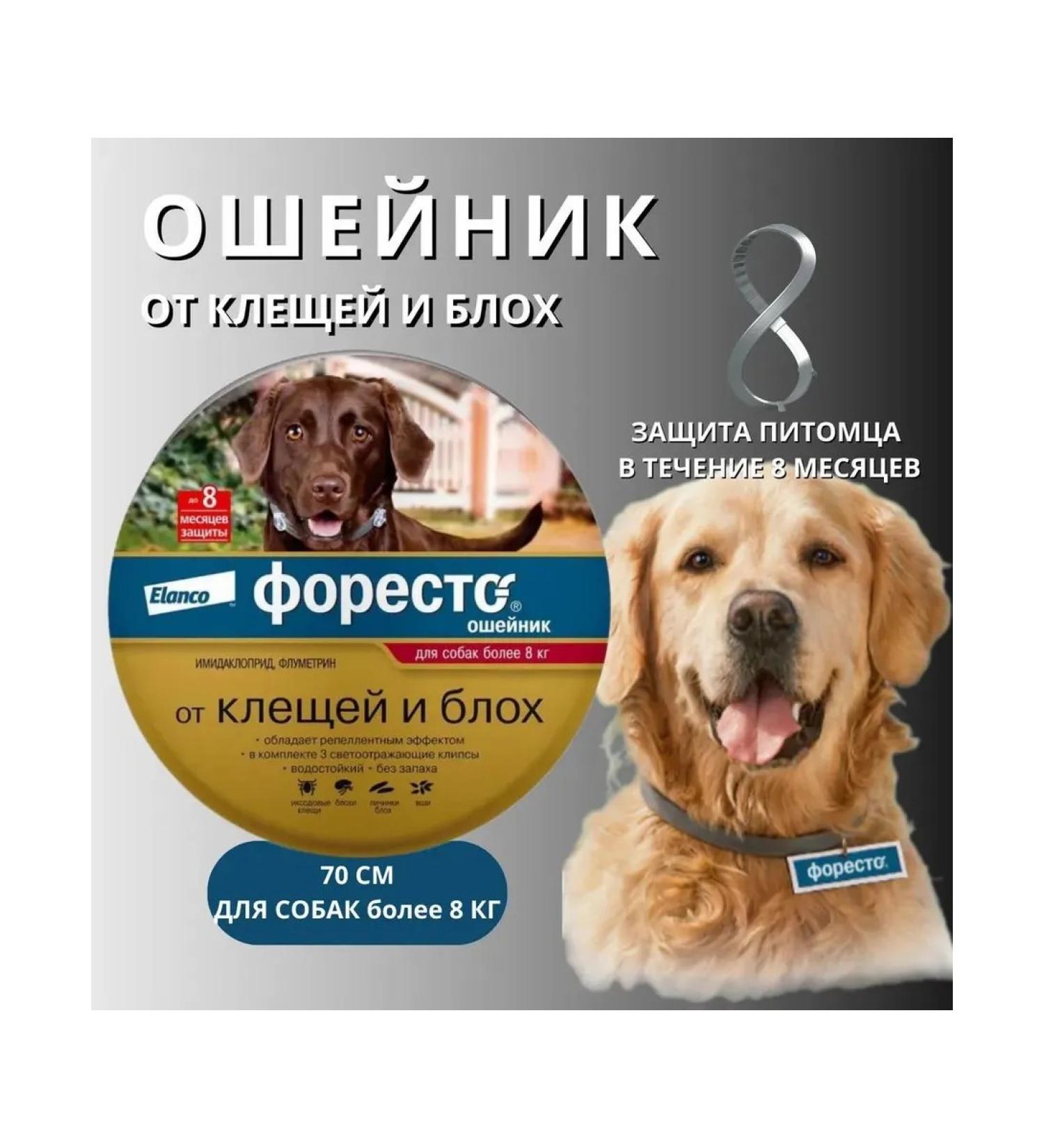 Foresteader 70 cm for dogs more than 8 kg (Elanco) - Buy Online on GoSupps.com