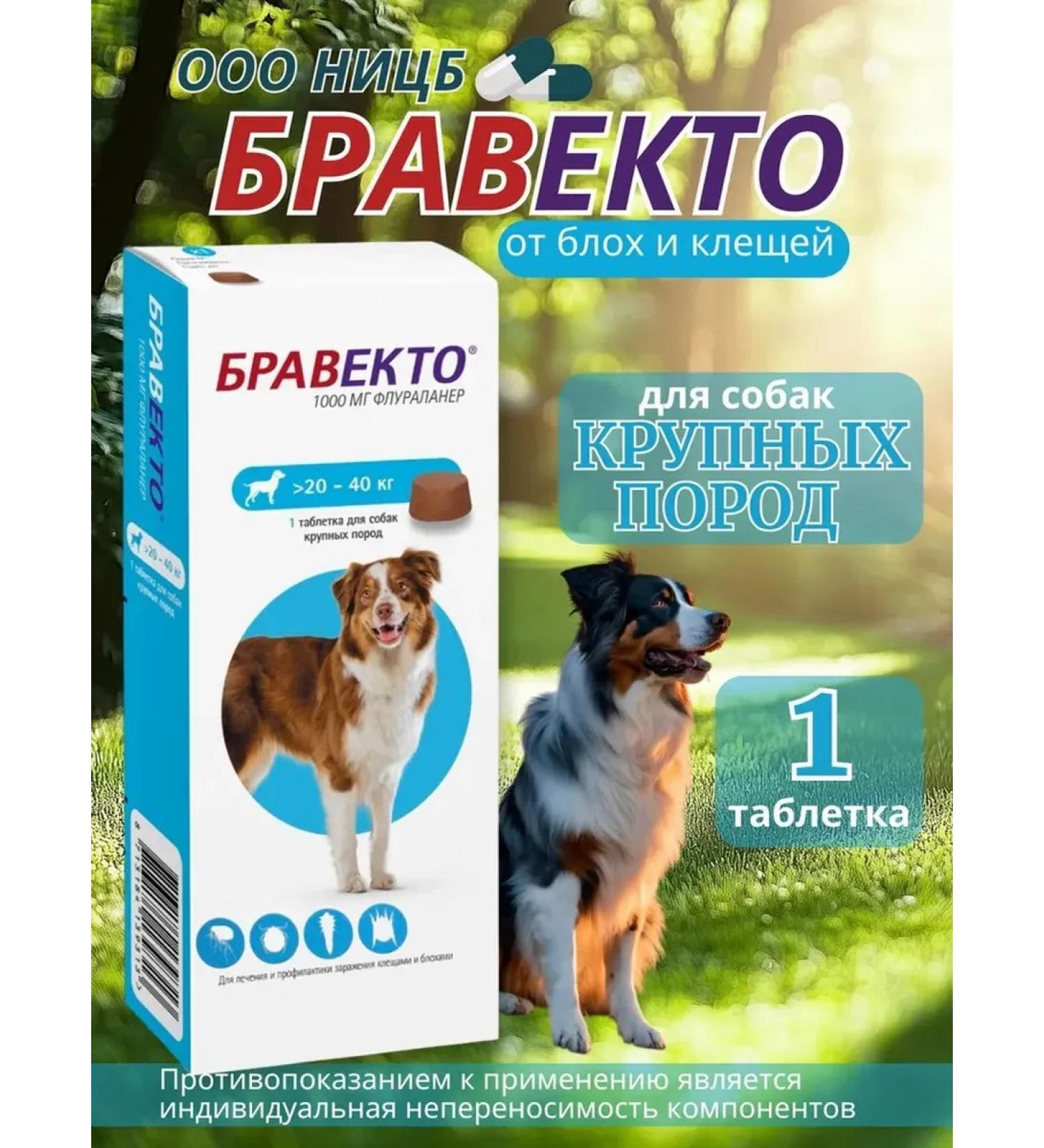 bravecto For dogs 20-40 kg (06.2026)