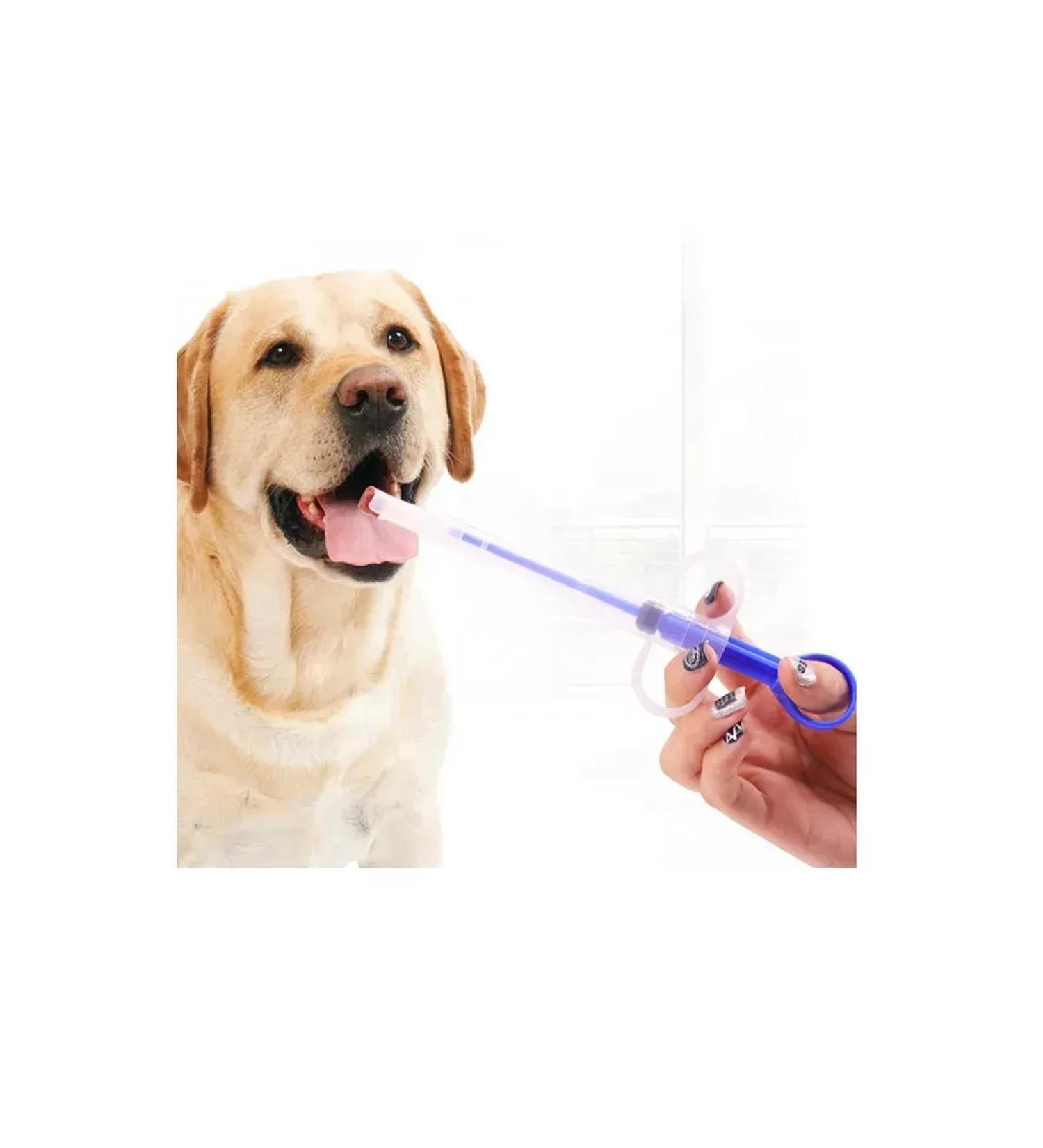 ARINA Piller tablet dispenser - Buy Online on GoSupps.com