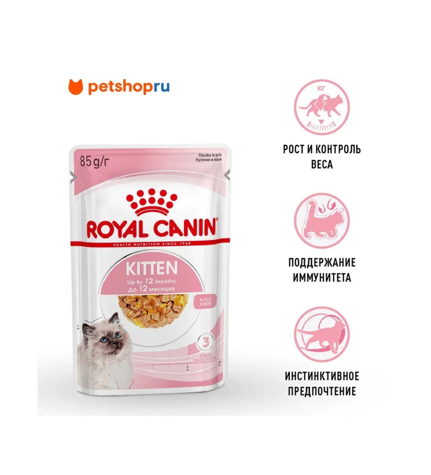 ROYAL CANIN Wet feed for kittens Kitten 85 gr - Buy Online on GoSupps.com