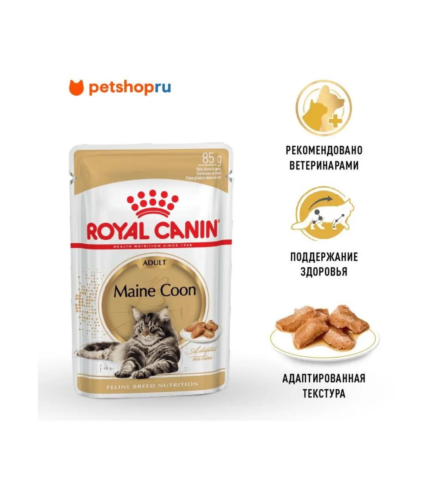 ROYAL CANIN Wet food for Maine Coons 85 gr - Buy Online on GoSupps.com