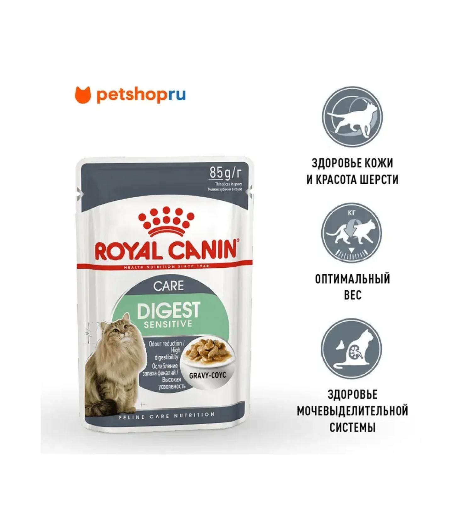 ROYAL CANIN Spider for cats in sauce digestive 85 gr - Buy Online on GoSupps.com