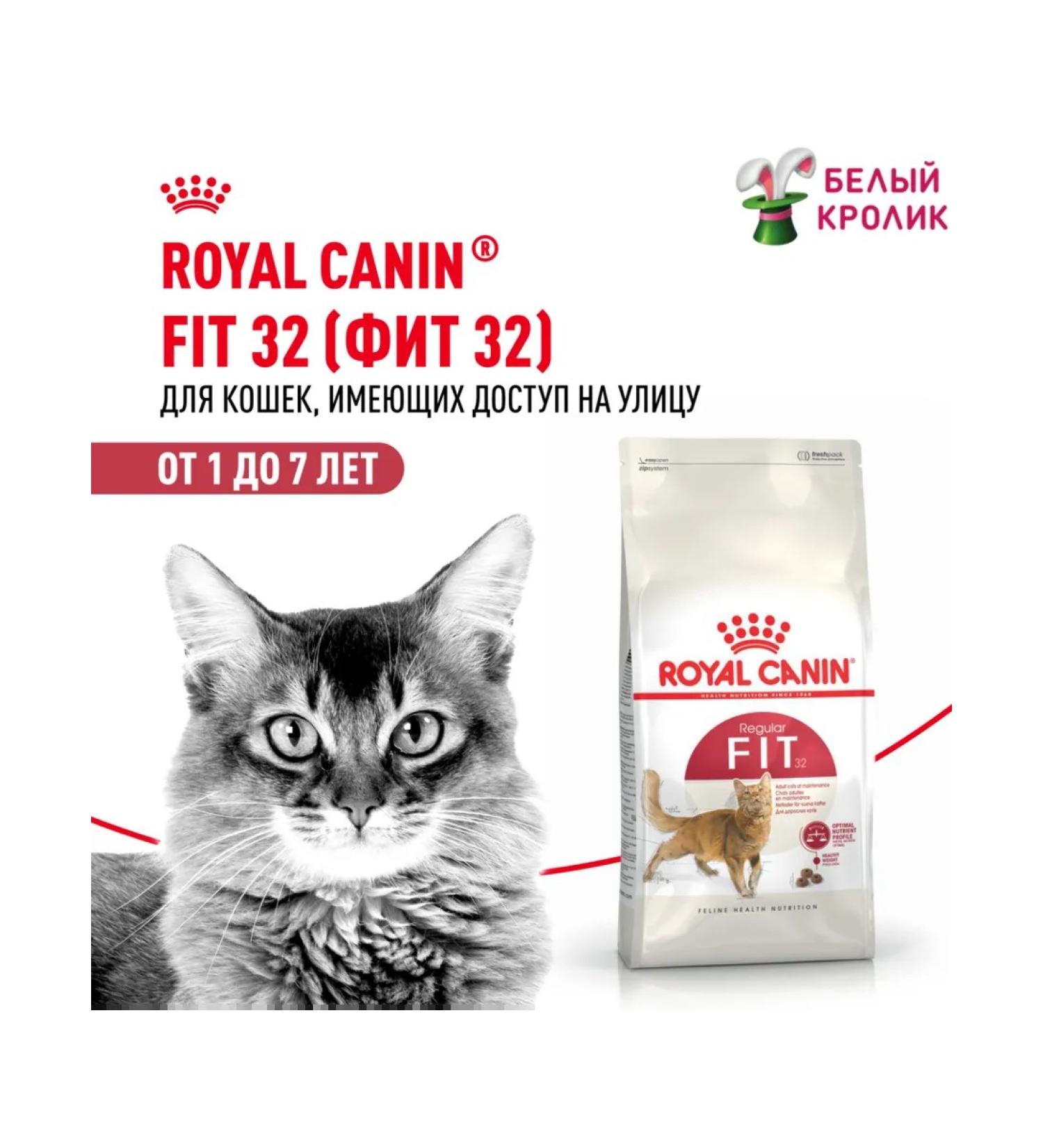 ROYAL CANIN Dry food for cats Fit 32 400g - Buy Online on GoSupps.com