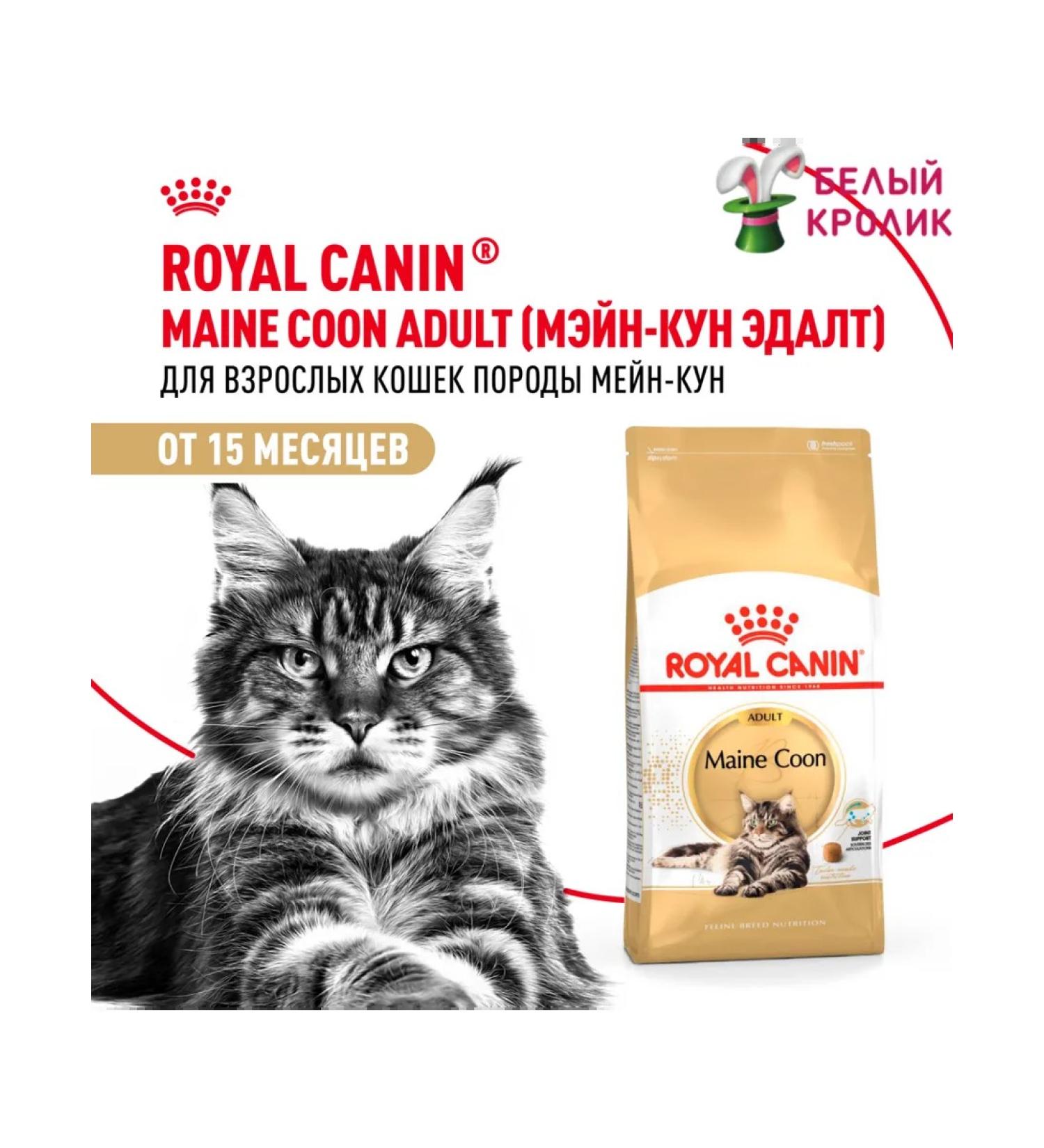 ROYAL CANIN Dry food for cats Maine Coon Adult 400g - Buy Online on GoSupps.com