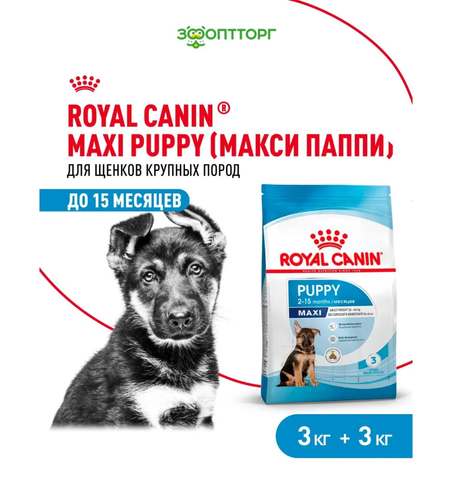 ROYAL CANIN Dry food Maxi Puppy for puppies of large breeds 3 kg x 2 pcs - Buy Online on GoSupps.com