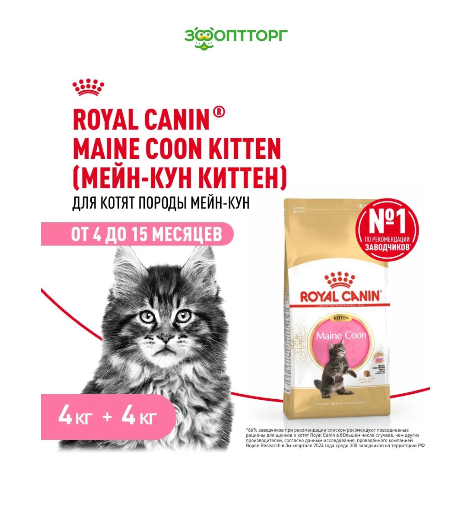 ROYAL CANIN Dry food Main Coon Kitten for kittens Maine-kun 4kg x 2pcs - Buy Online on GoSupps.com