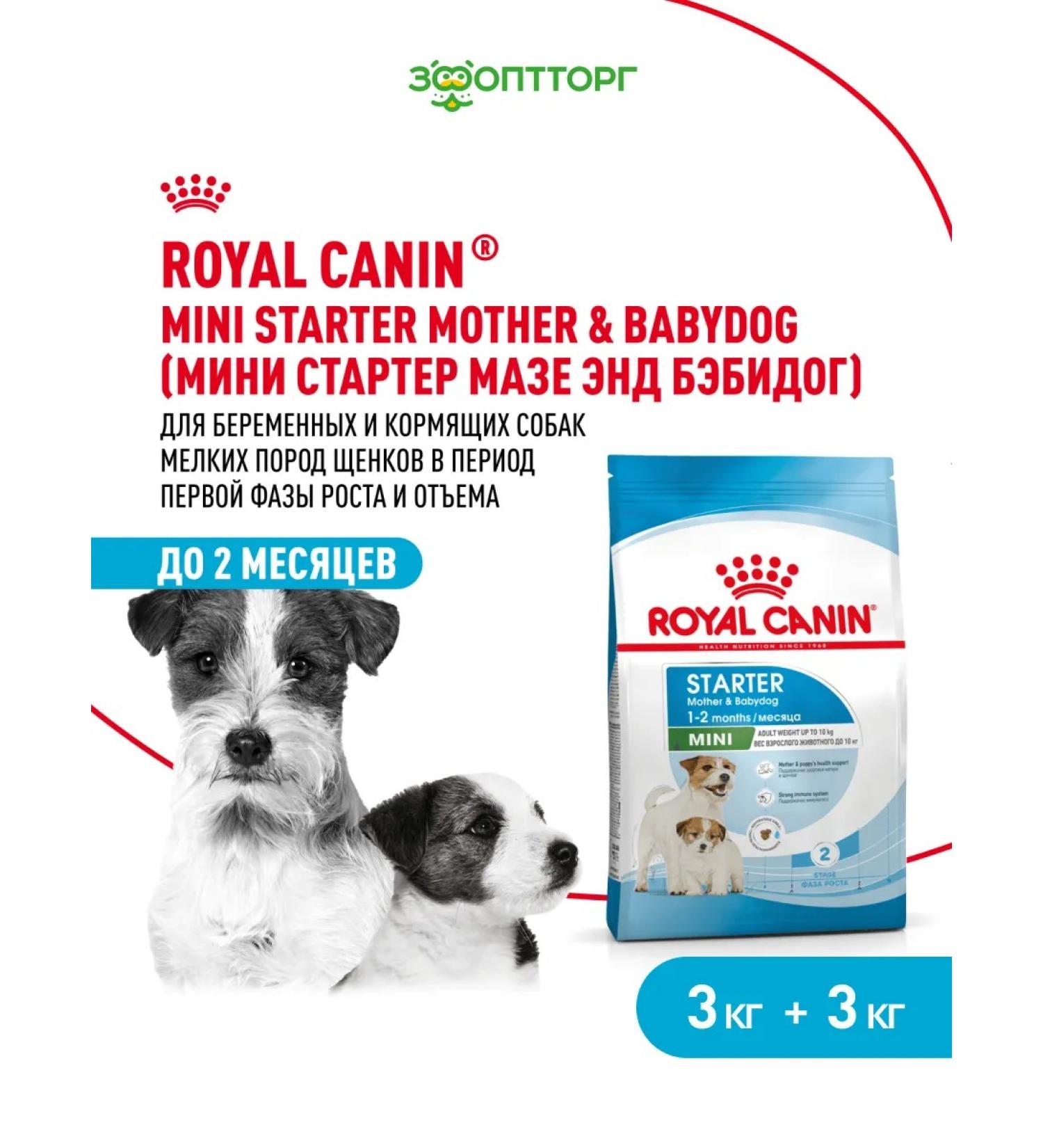 ROYAL CANIN Dry food mini Starter for puppies up to 2 months 3kg x 2pcs - Buy Online on GoSupps.com