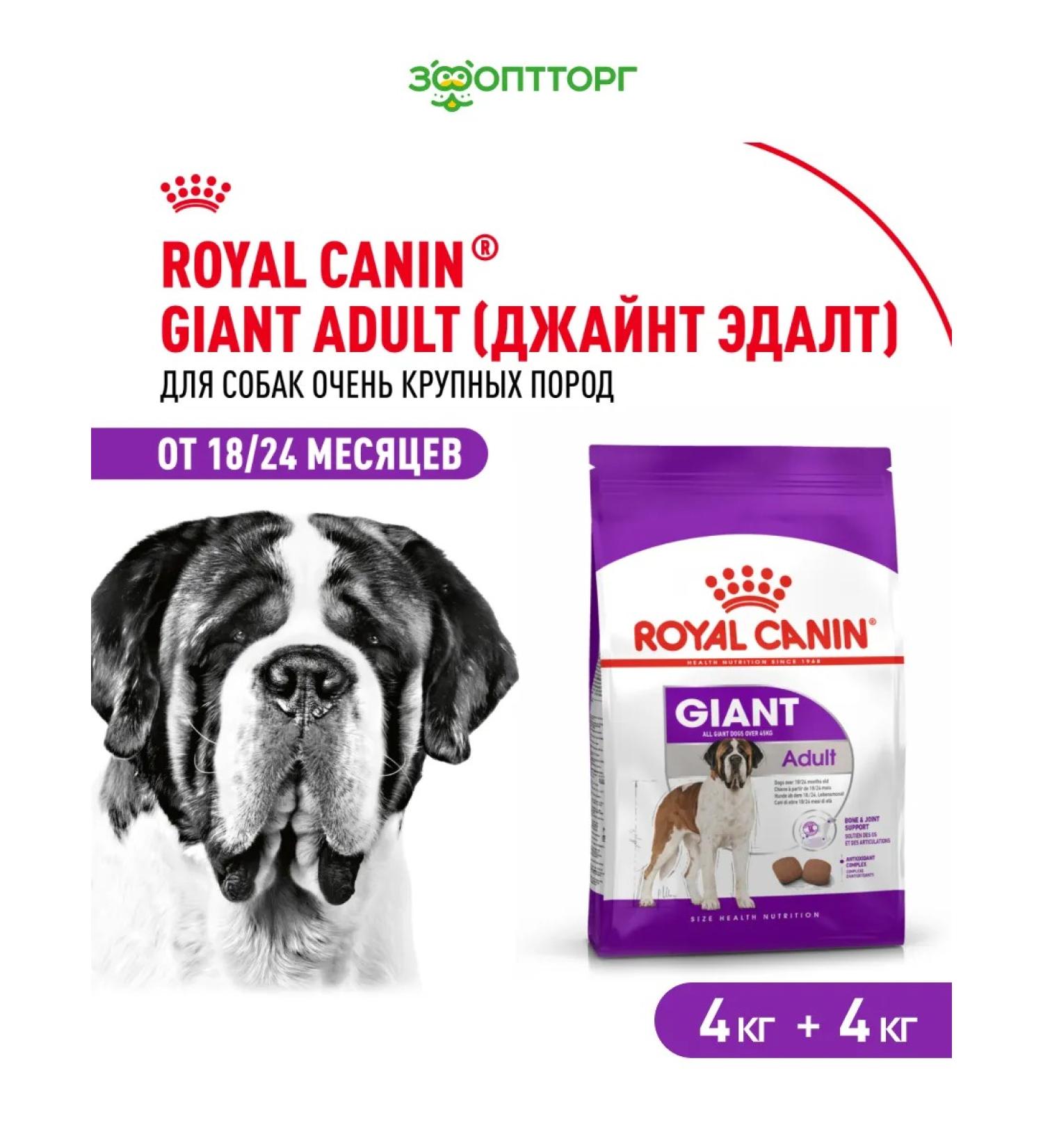 ROYAL CANIN Dry food for dogs of giant breeds 4 kg x 2 pcs - Buy Online on GoSupps.com