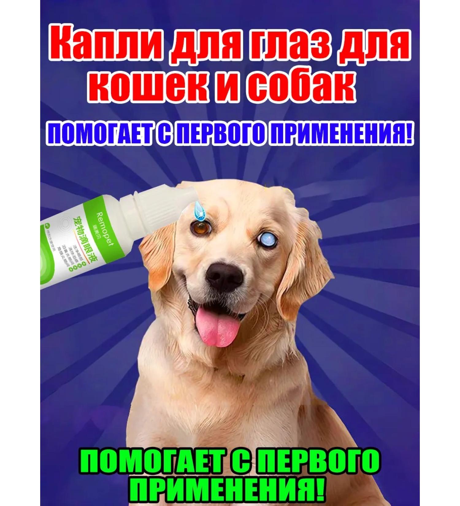 Bio drops eye drops for cats and dogs 20ml - Buy Online on GoSupps.com