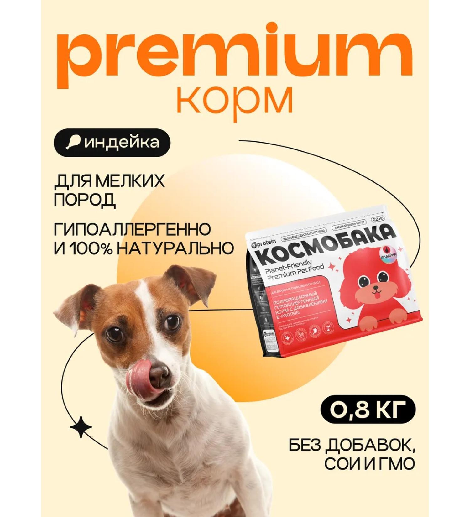 SPACEBAK Dry feed 0.8 kg for small breeds with turkey - Buy Online on GoSupps.com