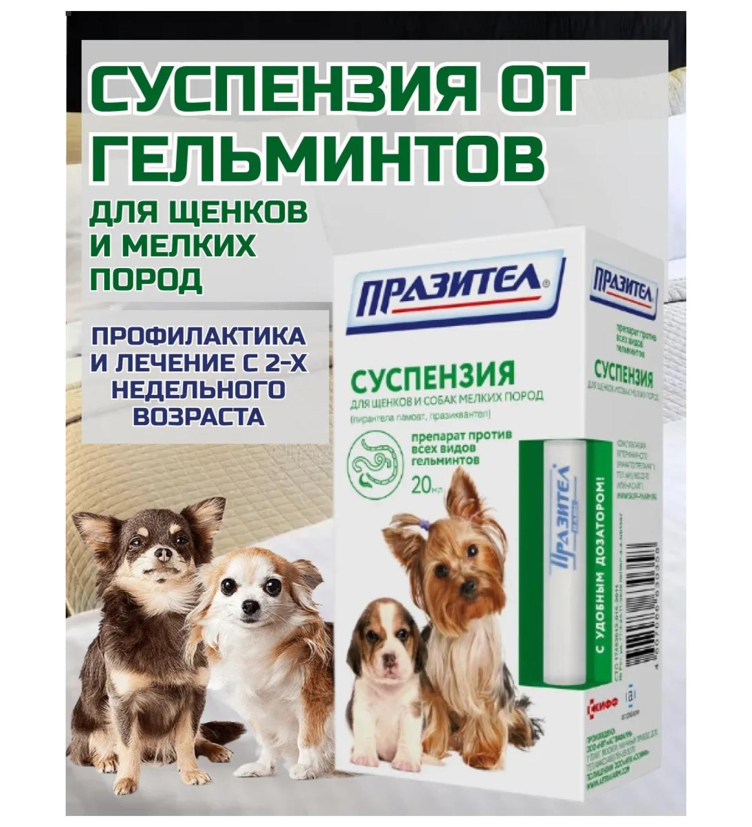 ASTRAPHARM Suspension from worms and helminths for puppies and small breeds