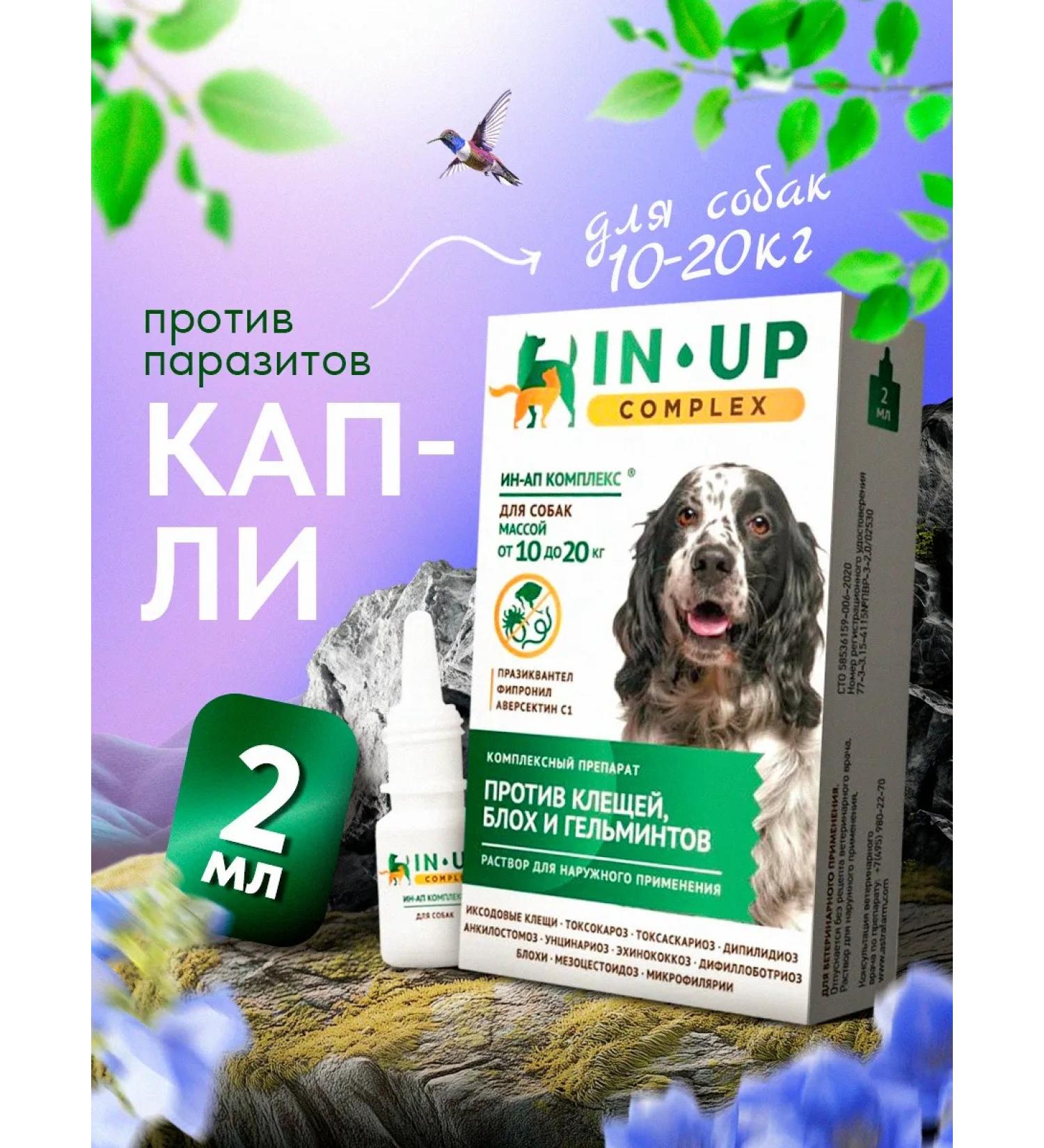 Astrapharm Complex drops for dogs from 10 to 20 kg in-up complex - Buy Online on GoSupps.com