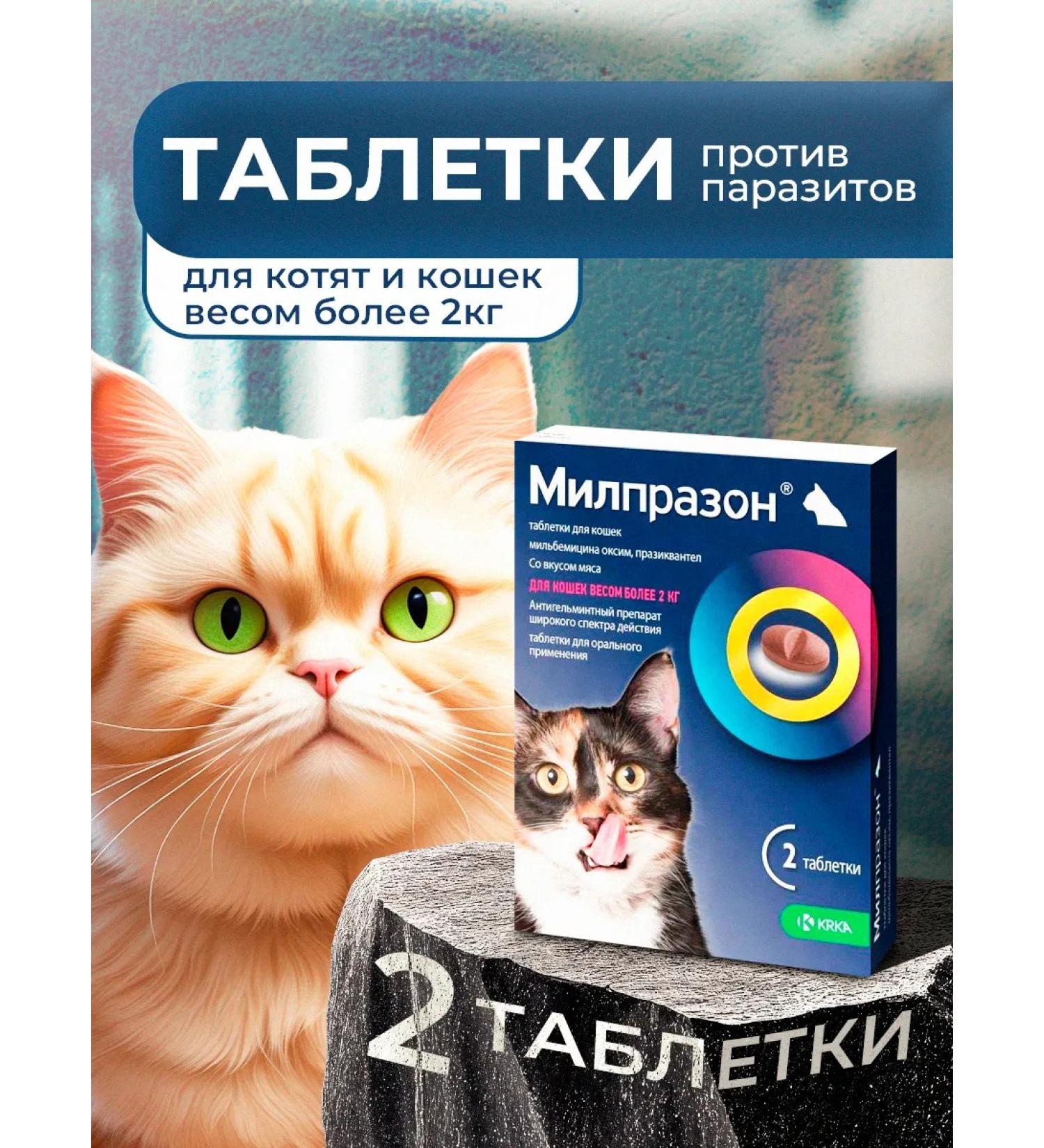 KRKA Helmin pills Milprazone for cats more than 2kg - Buy Online on GoSupps.com
