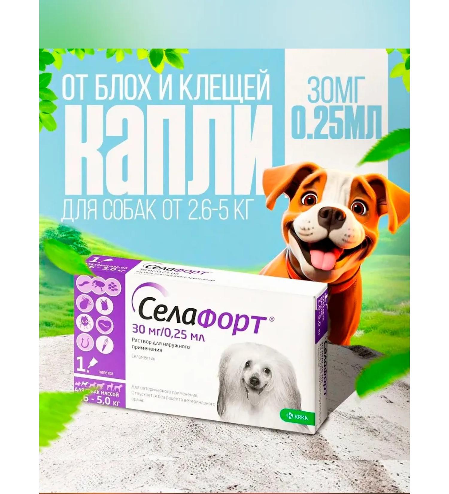 KRKA Sealess for dogs weighing from 2.6 to 5 kg - Buy Online on GoSupps.com