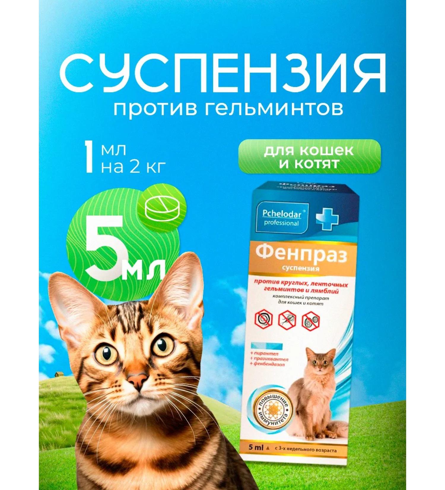 Beekeeper Suspension Fenpraz from helminths for cats