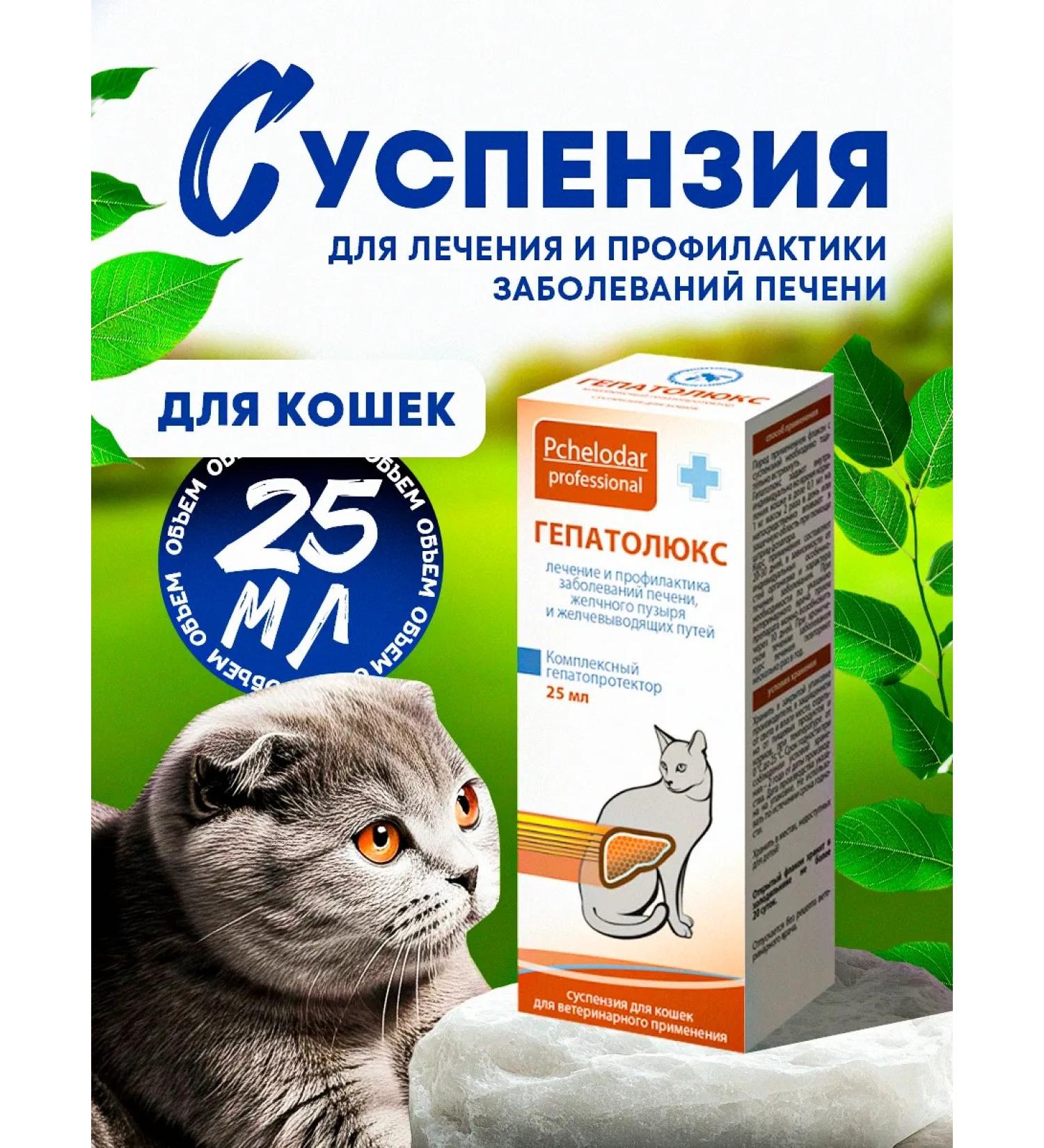 Beekeeper Hepatolux suspension for cats