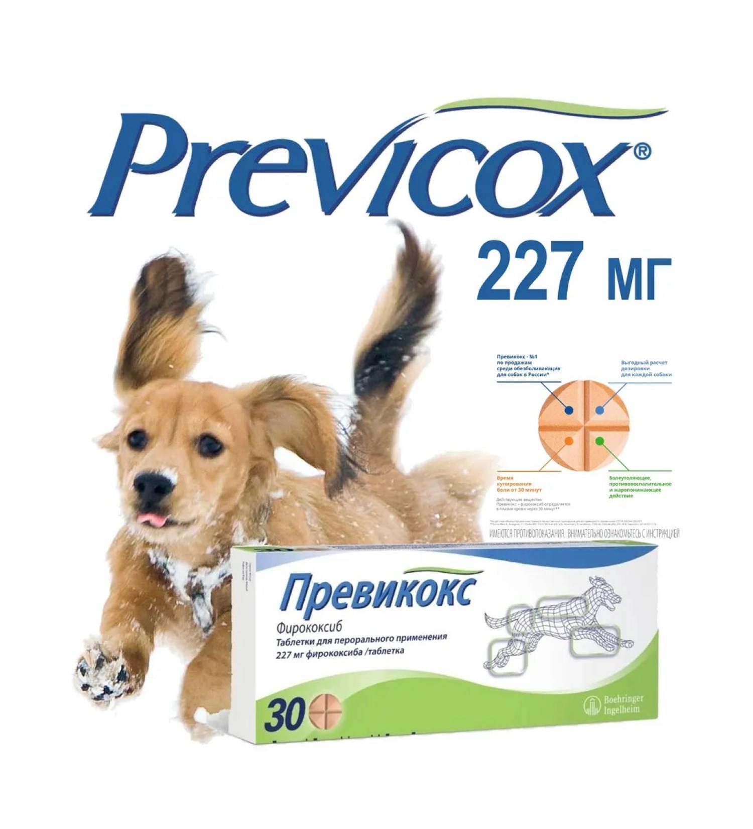 Previkox (Previcox) 227 mg 30 Tab 1 UP (term 04 2027) - Buy Online on GoSupps.com