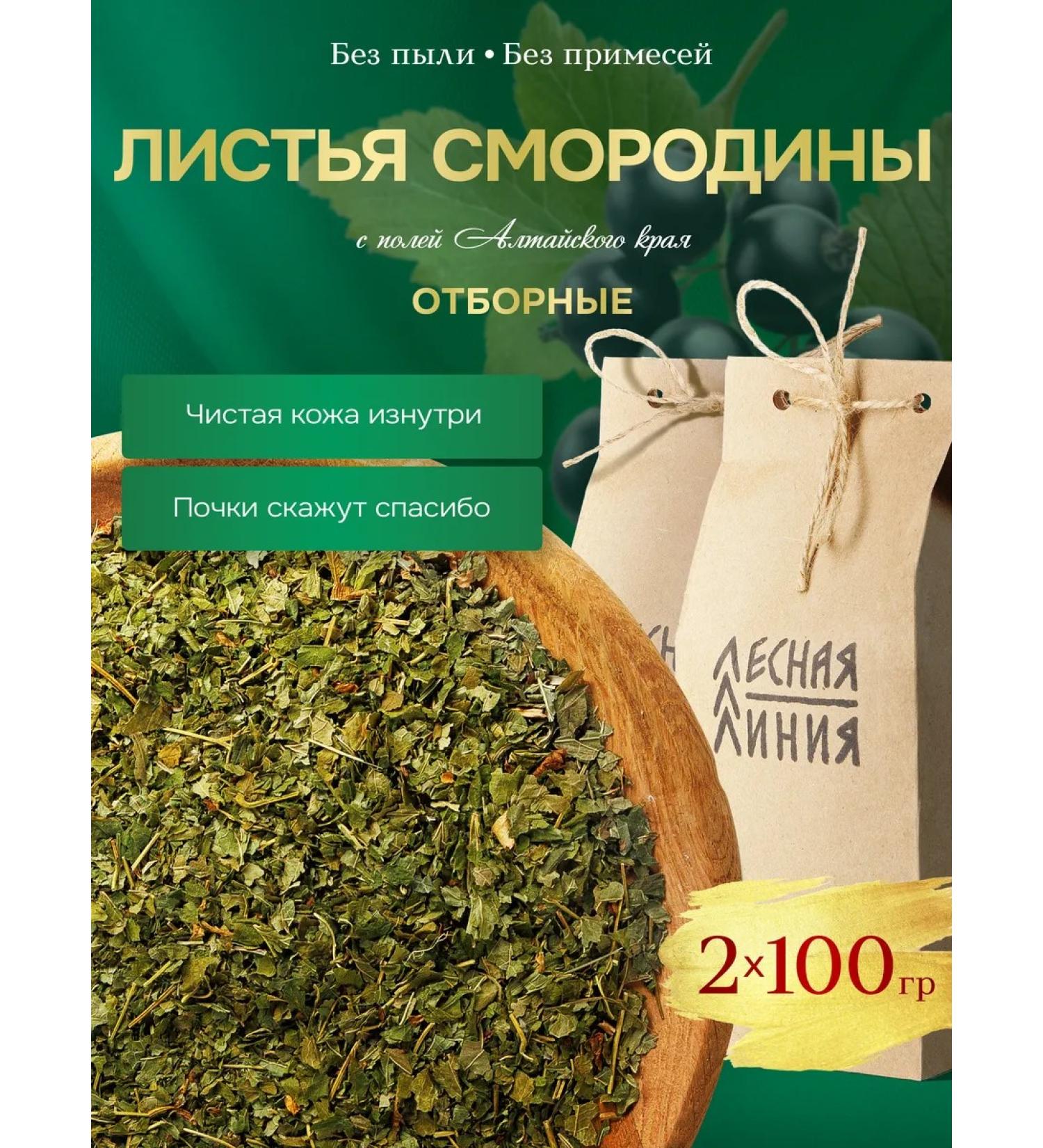 FOREST LINE Currant leaves 2 to 100 grams - Buy Online on GoSupps.com