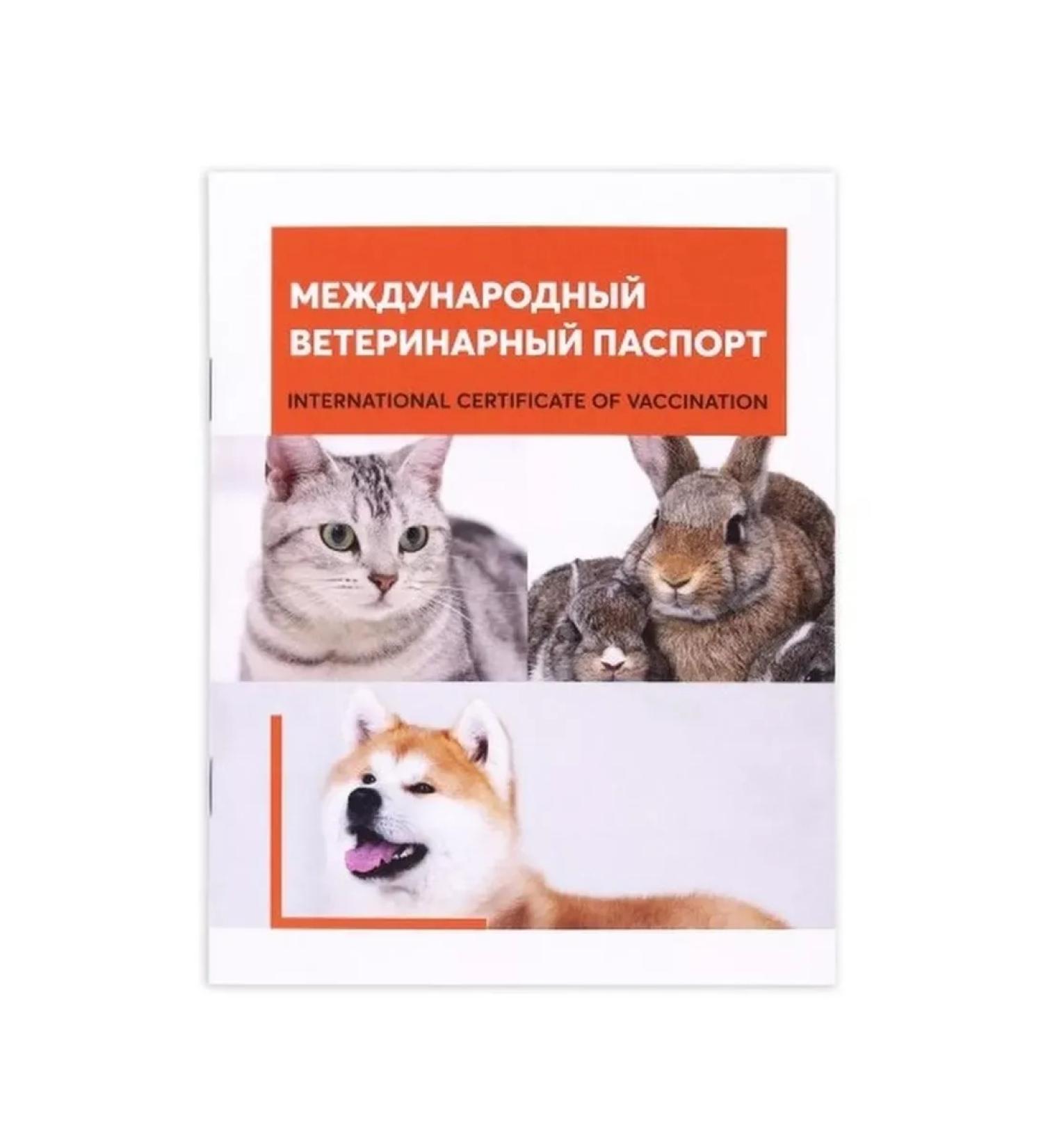 Yarvet International veterinary passport (universal)